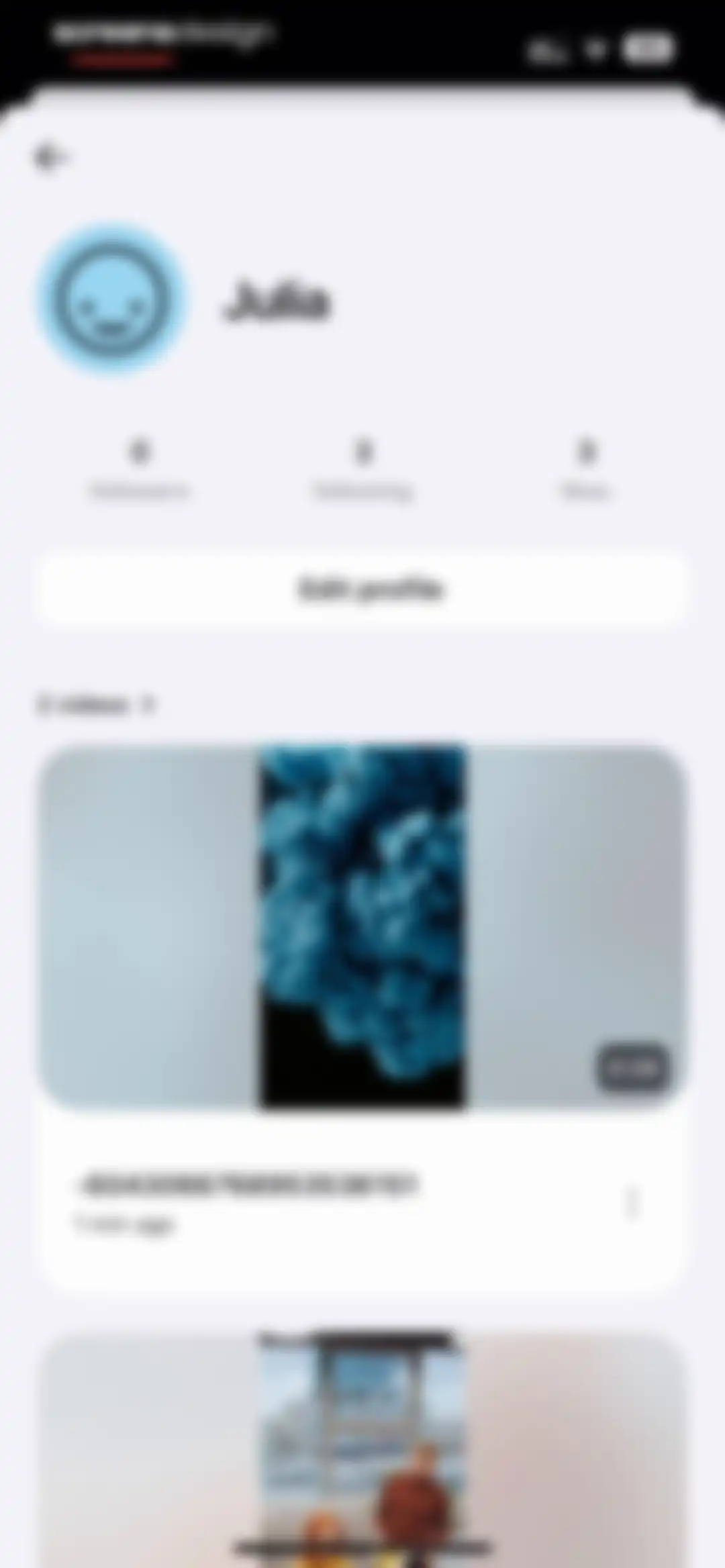 Vimeo screen 124