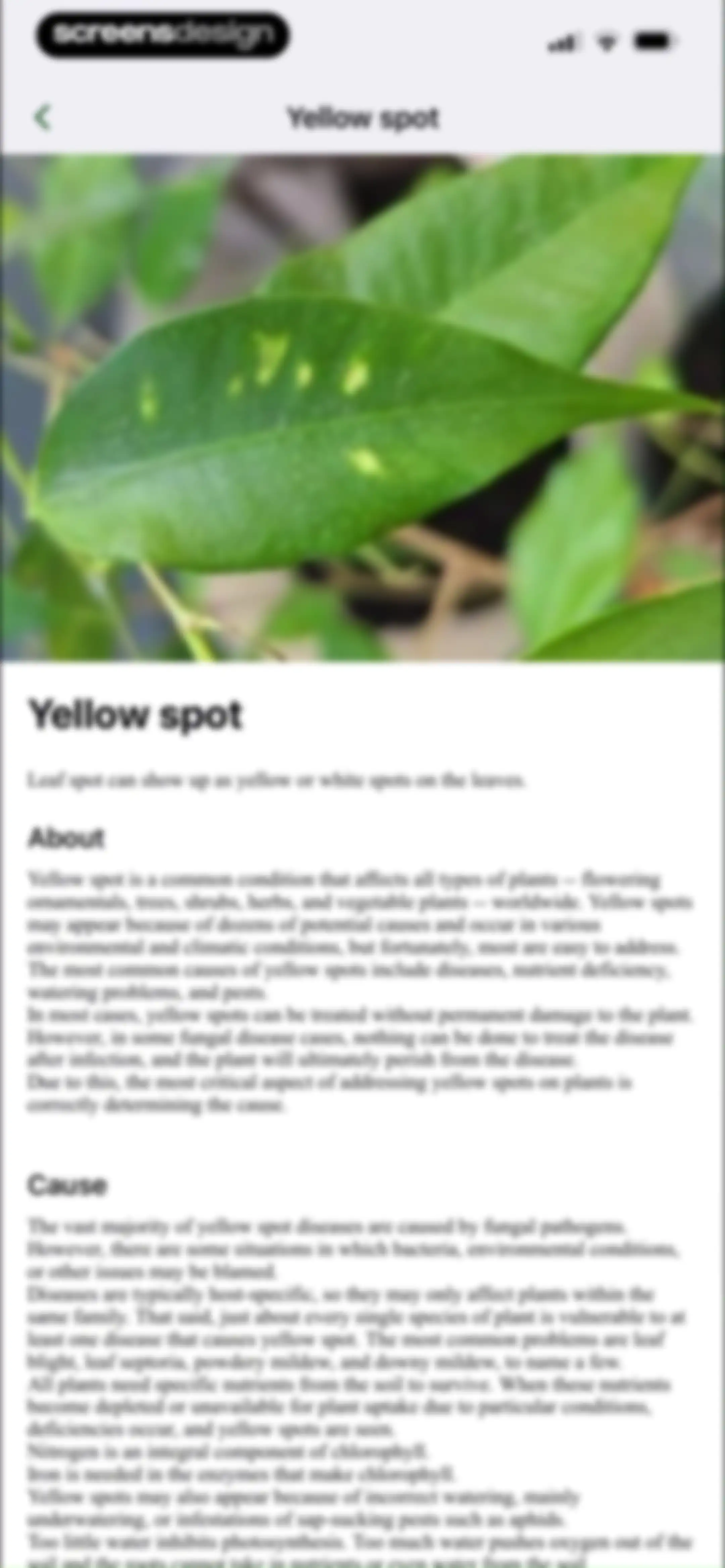 FloraSnap: Plant Scanner screen 42