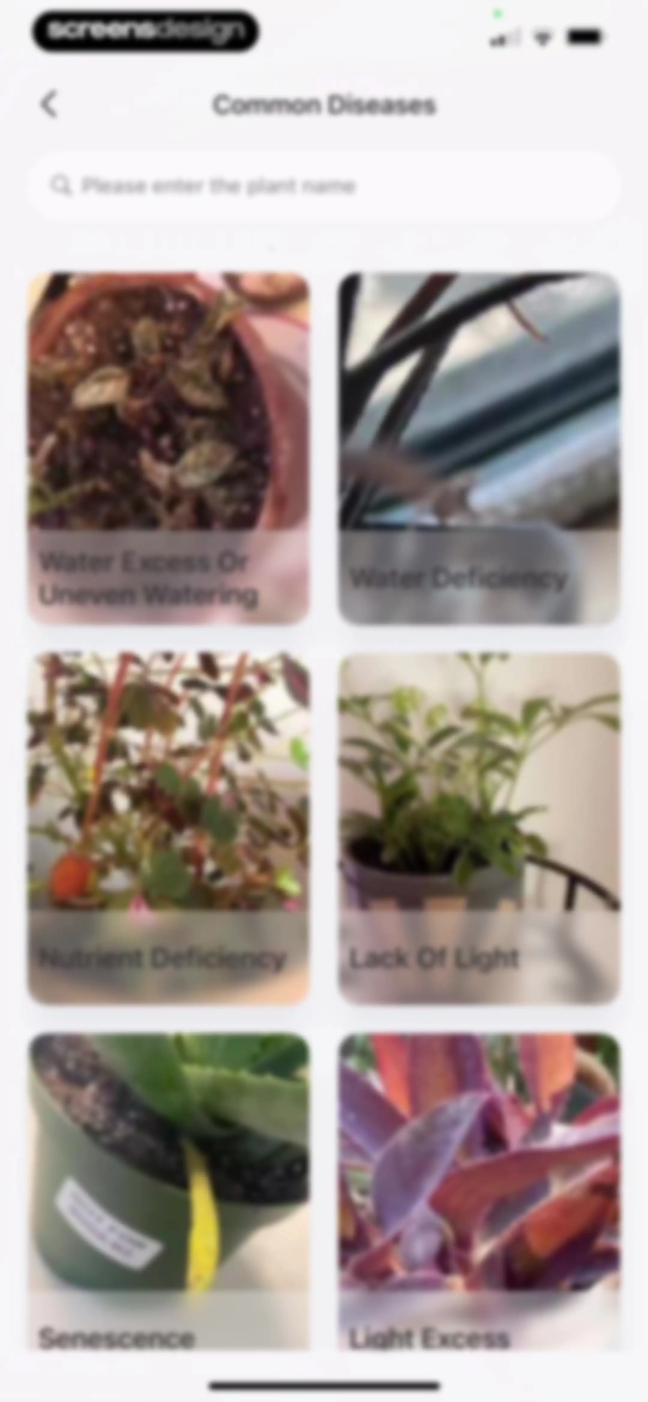 Verde Finder : identify plants screen 54
