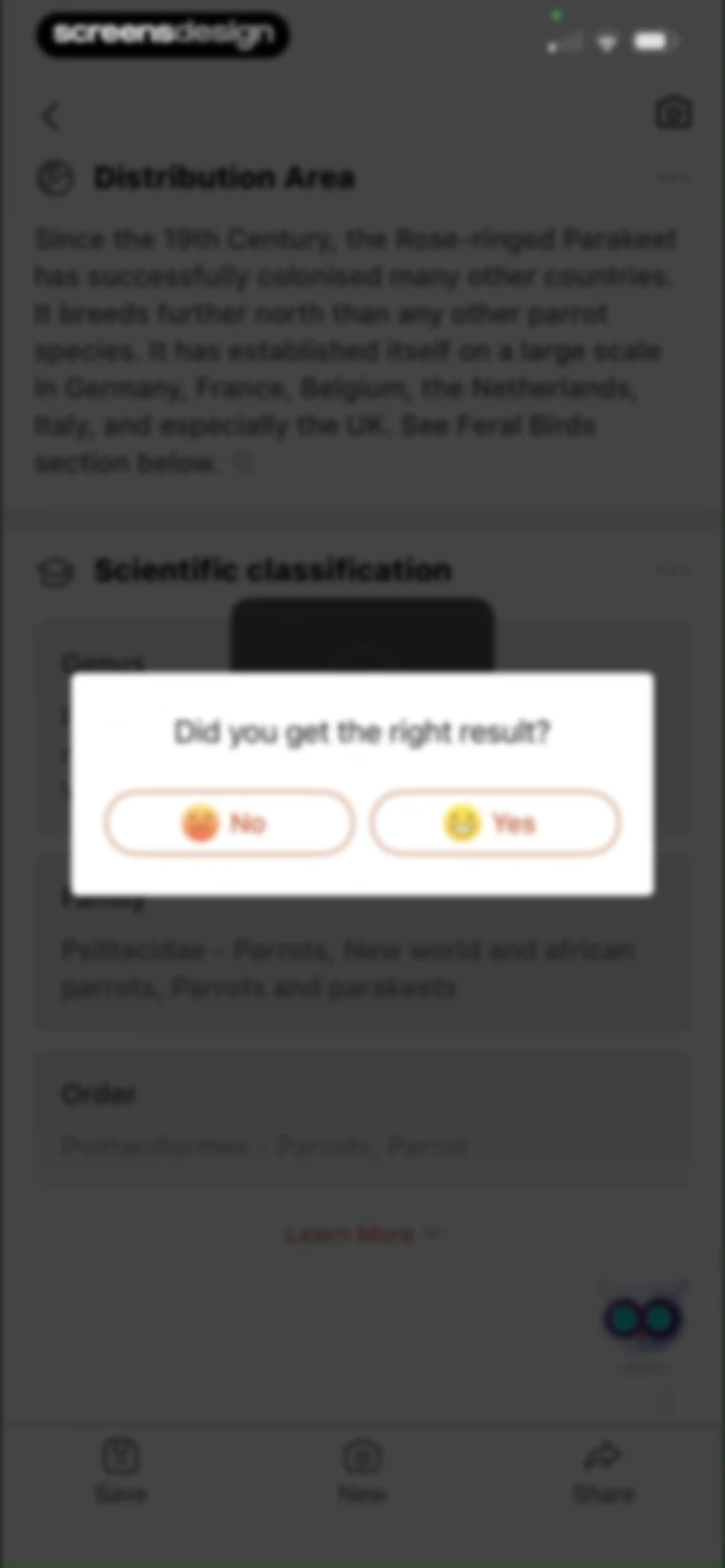 Picture Bird: Bird identifier screen 62