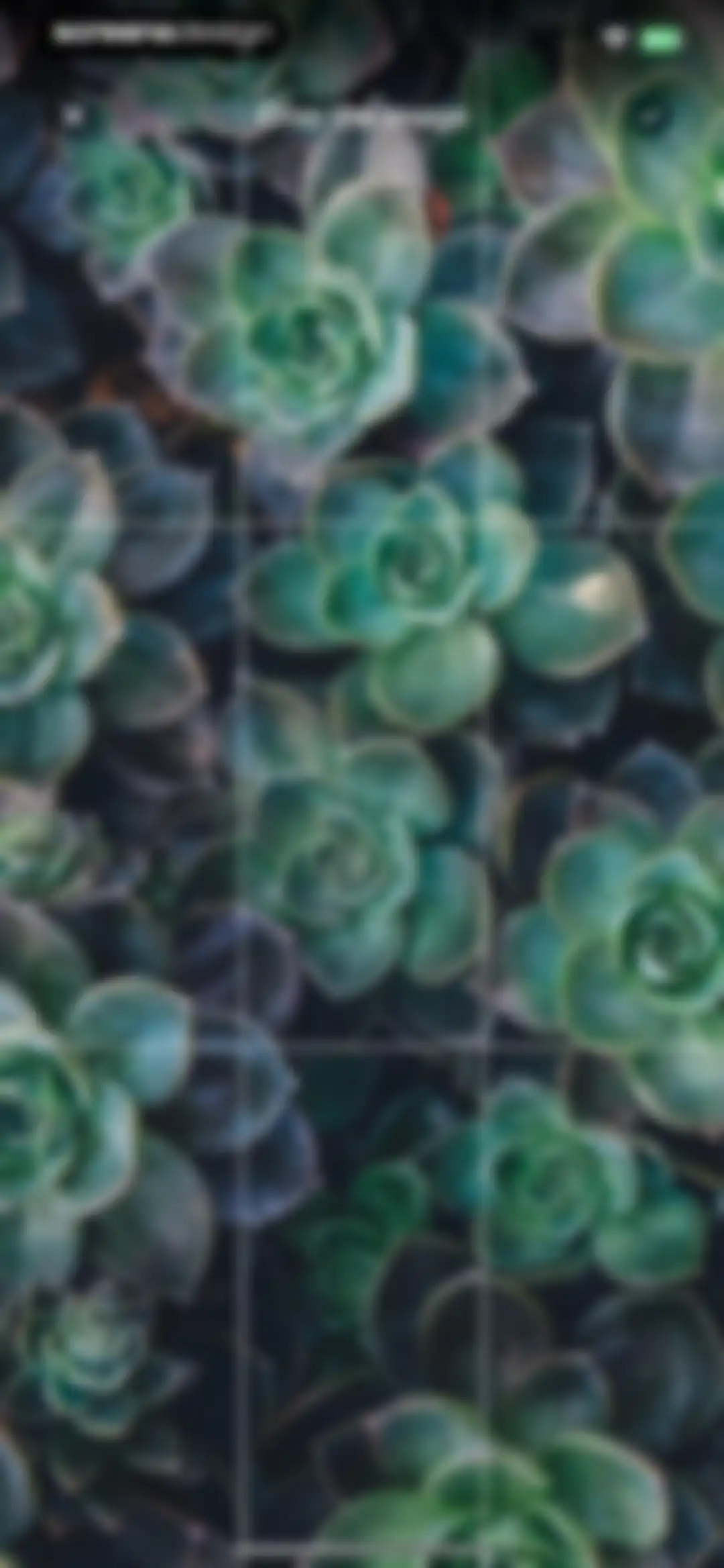 Wallcraft – Wallpapers, live screen 37