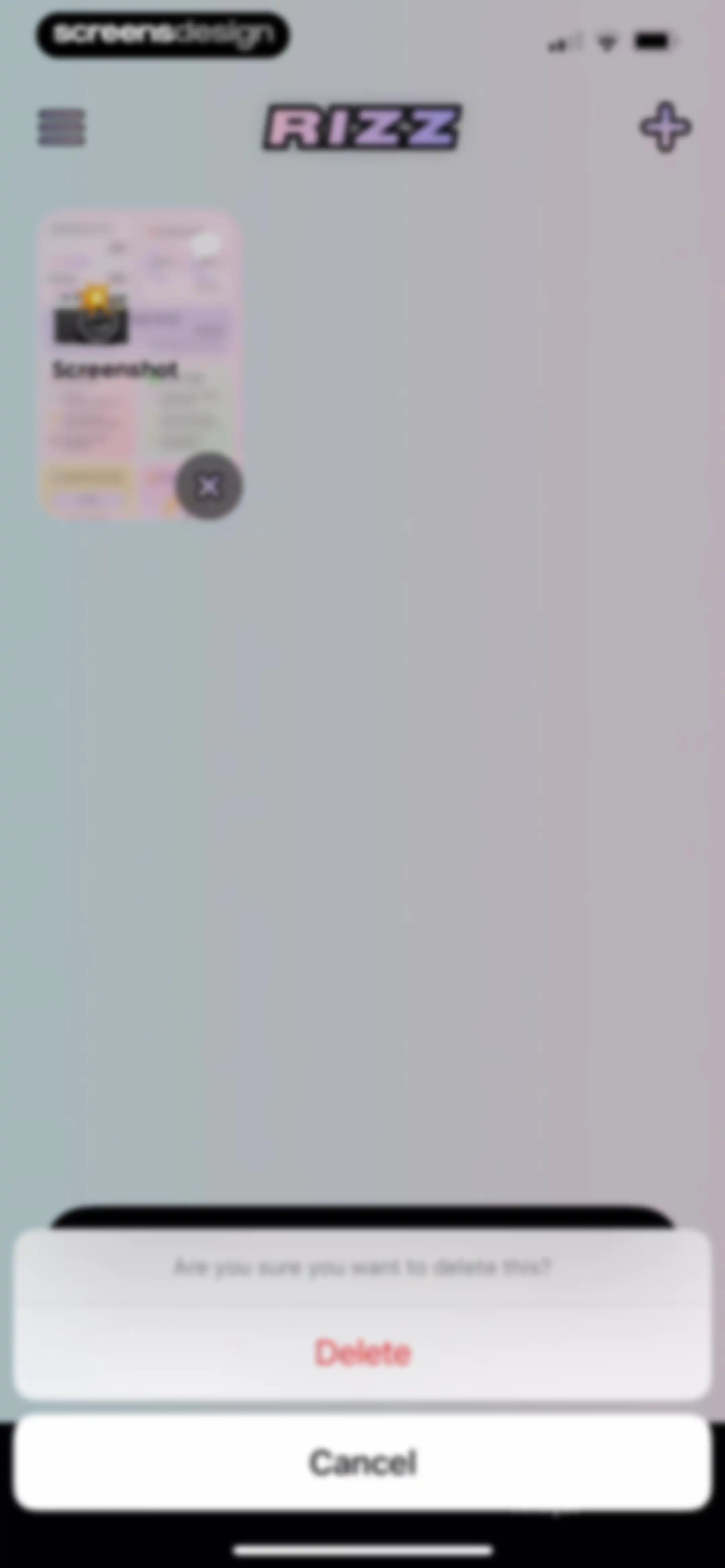 RIZZ screen 53