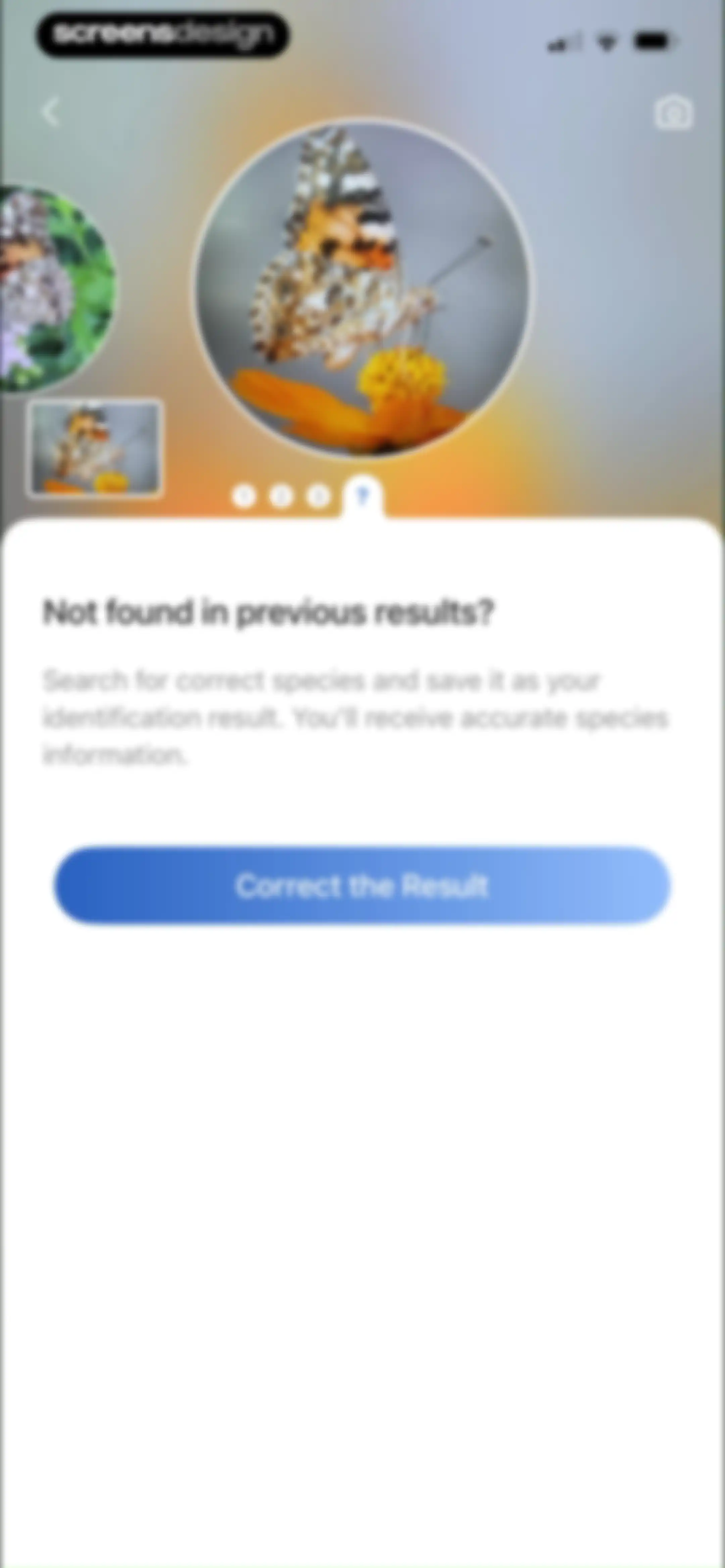 Picture Insect: Bug Identifier screen 54