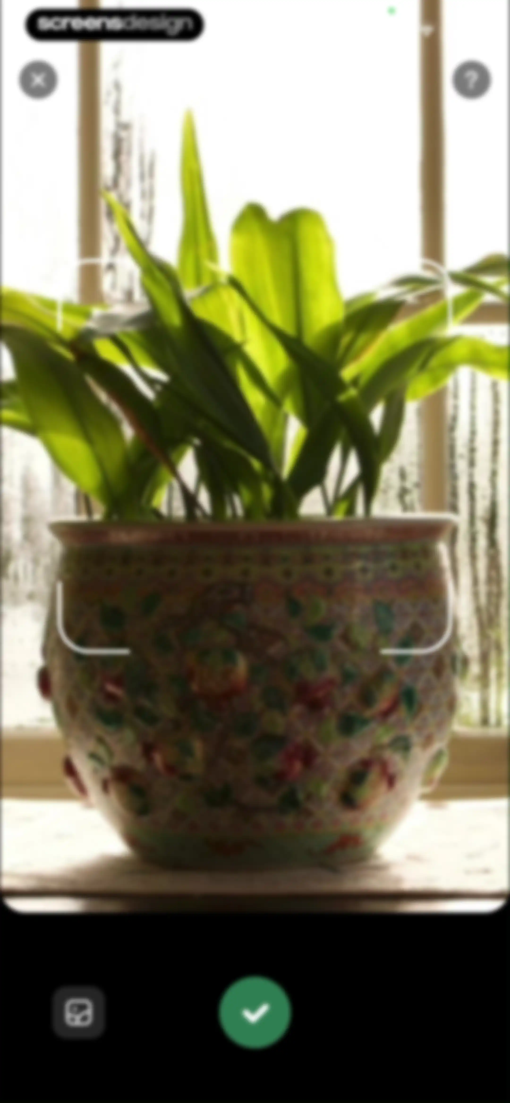 PlantLush: Plant ID & Care Pro screen 89