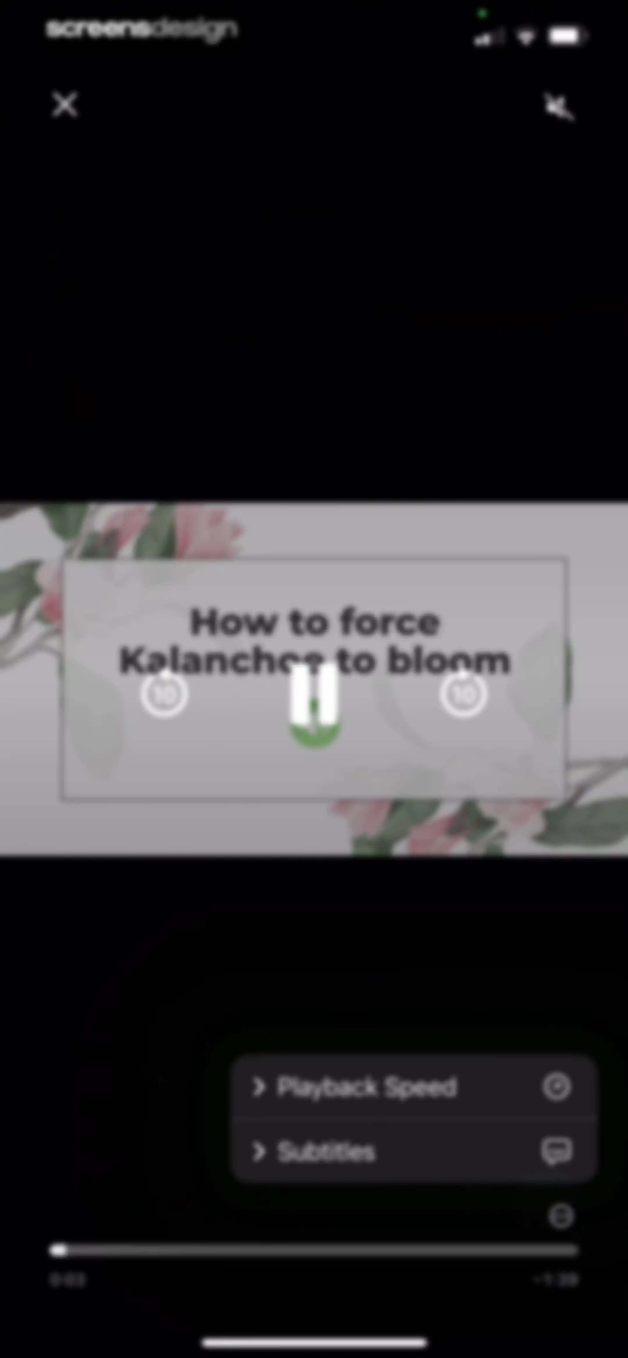 Blossom - Plant Care Guide screen 155