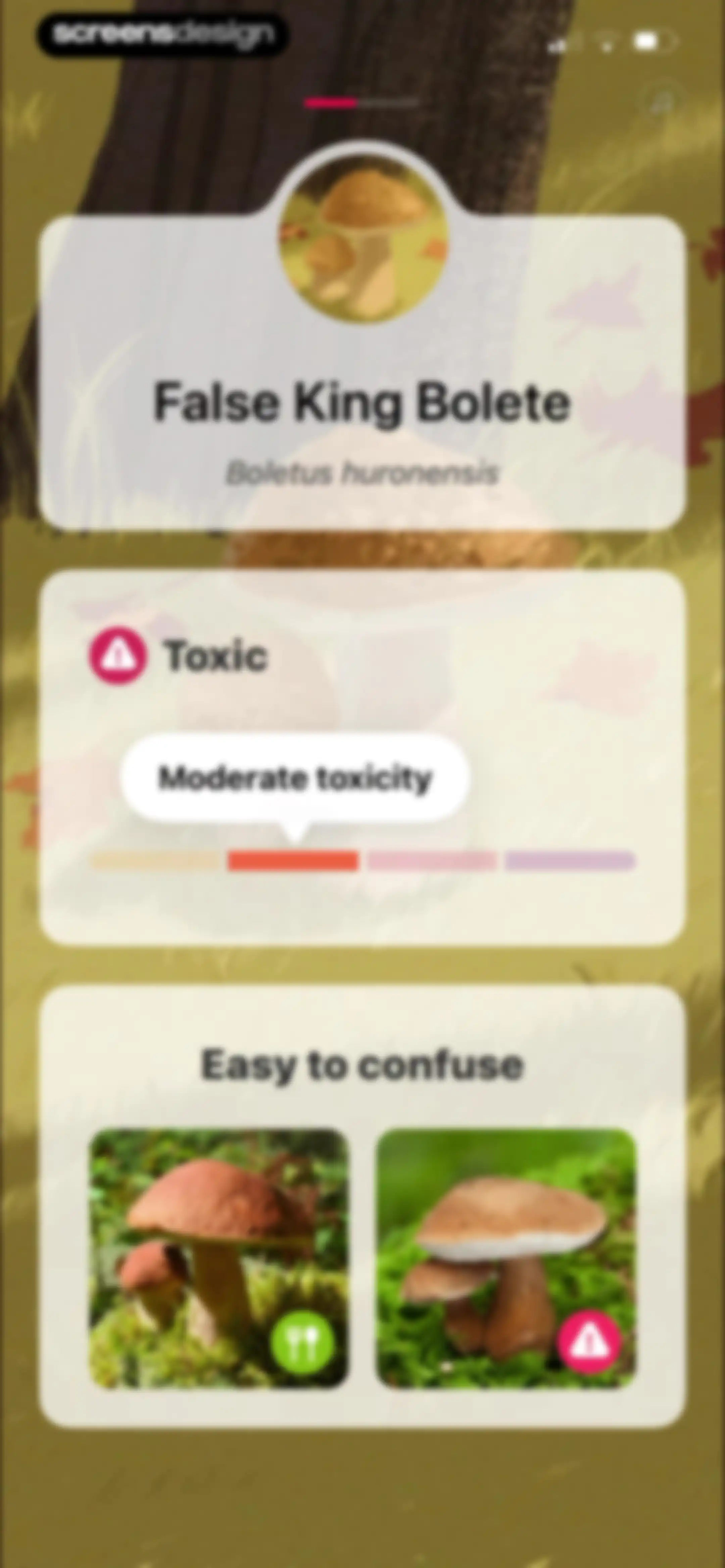 Picture Mushroom: Identifier screen 8