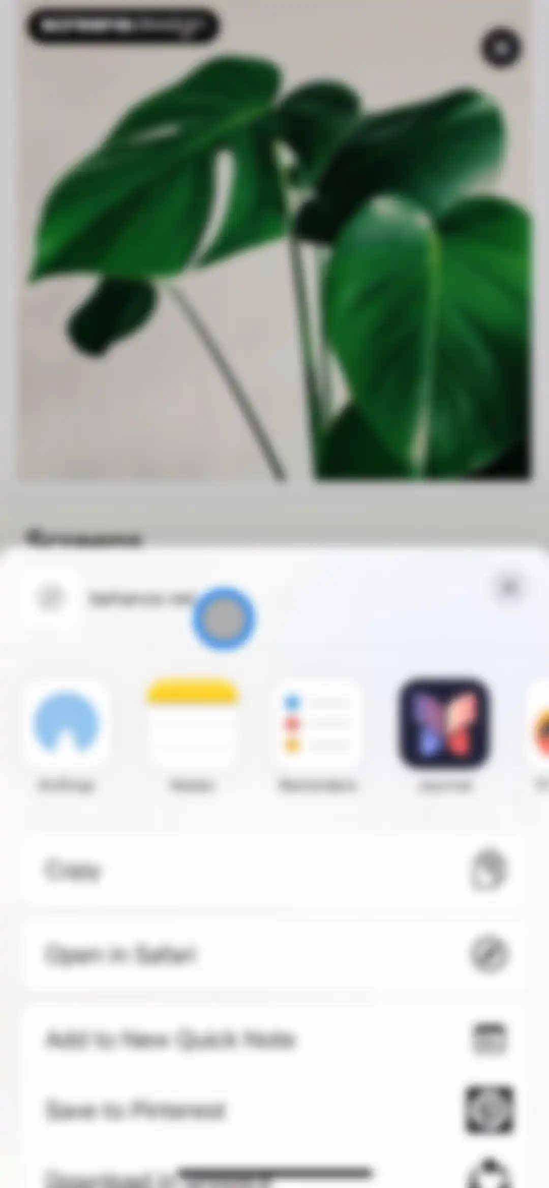 Behance – Creative Portfolios screen 119