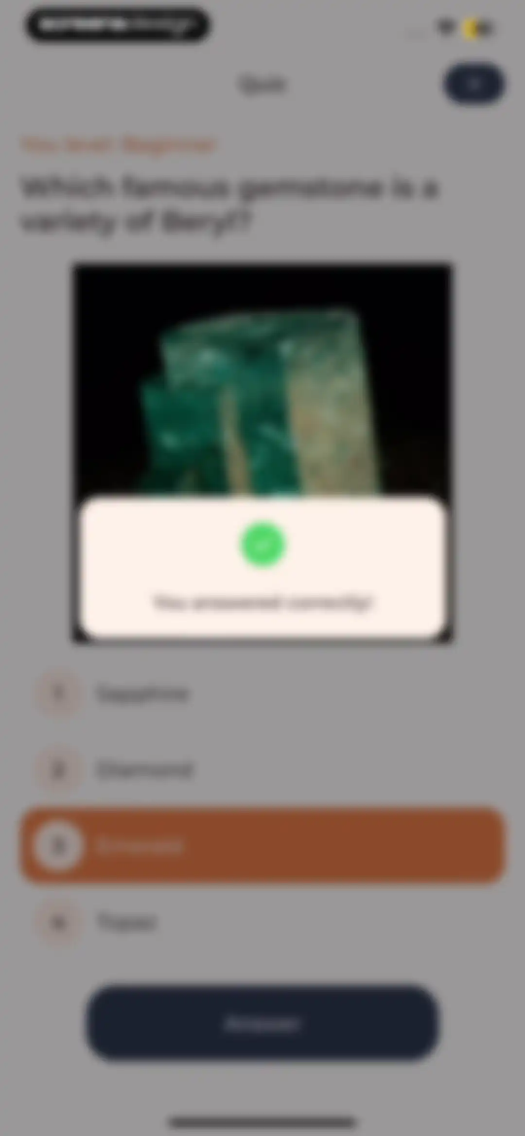 Stone Identifier: Rock Scanner screen 48