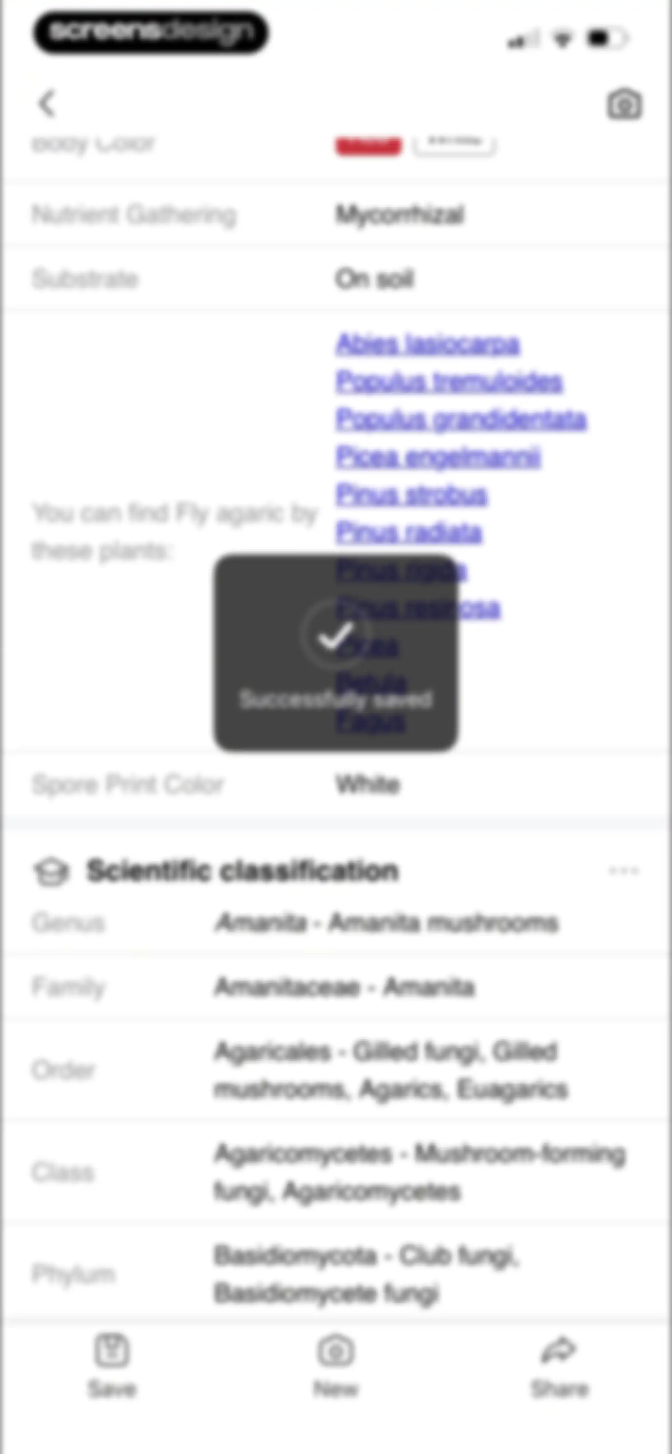 Picture Mushroom: Identifier screen 47