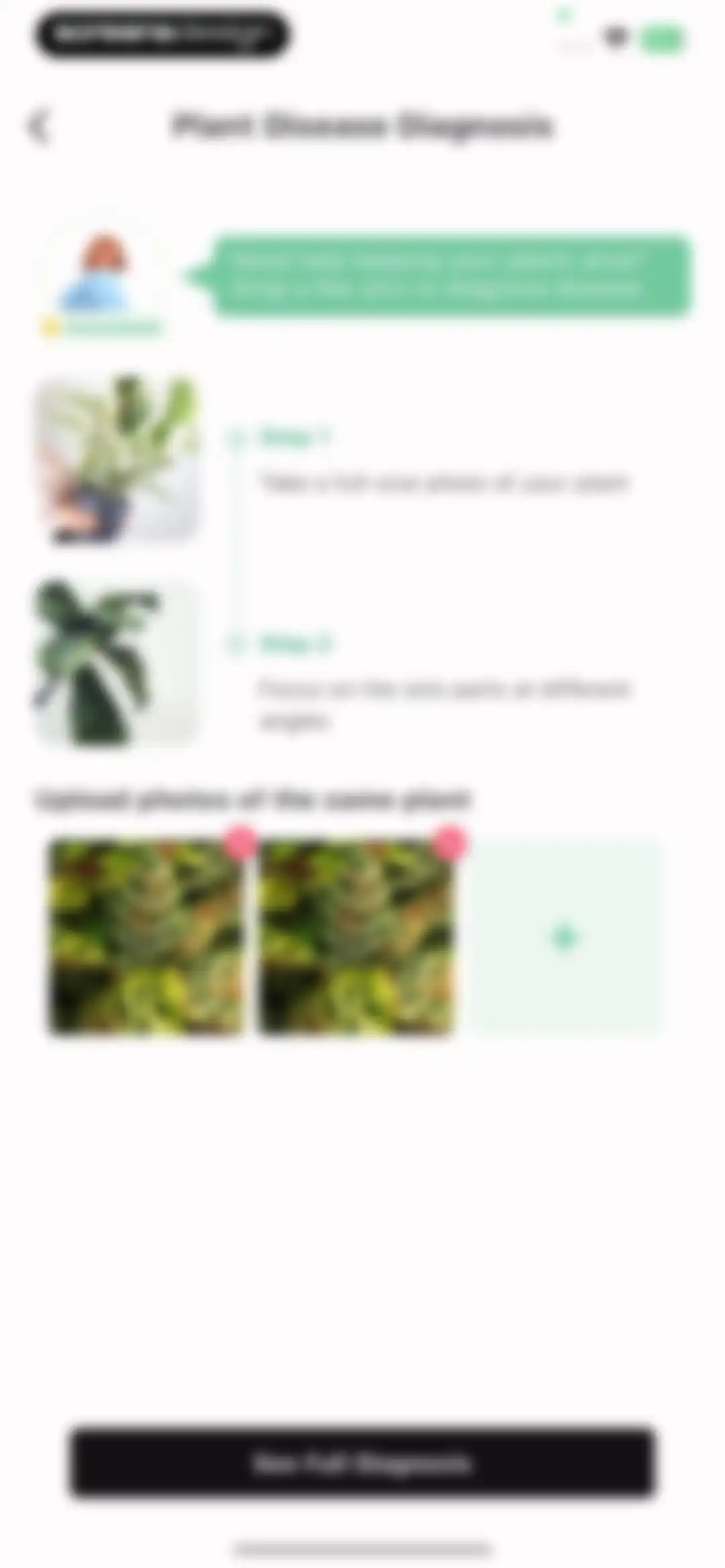 Plant Identification ++ screen 16