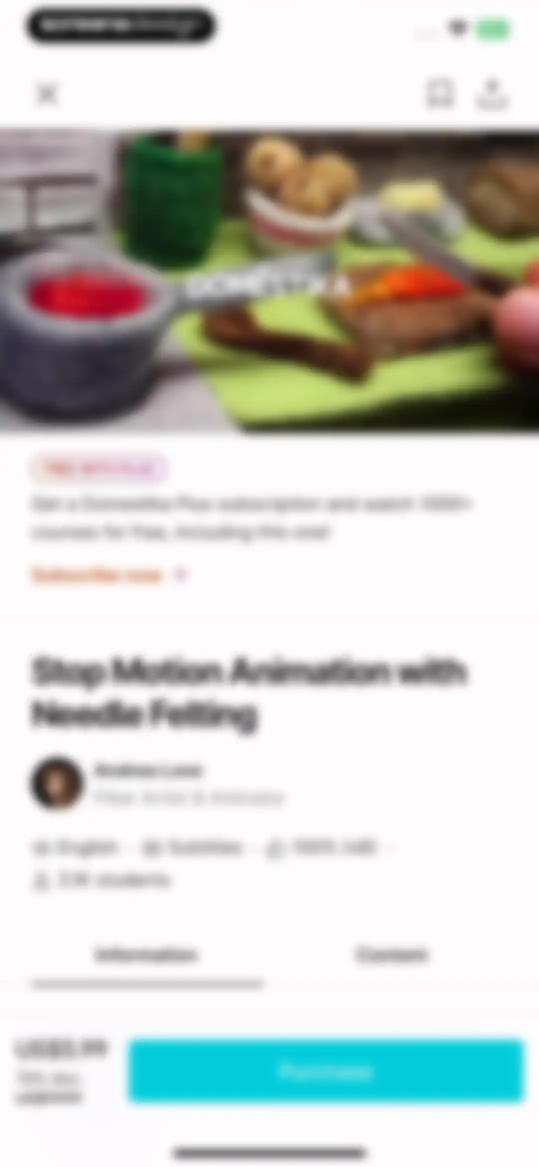Domestika - Online courses screen 13