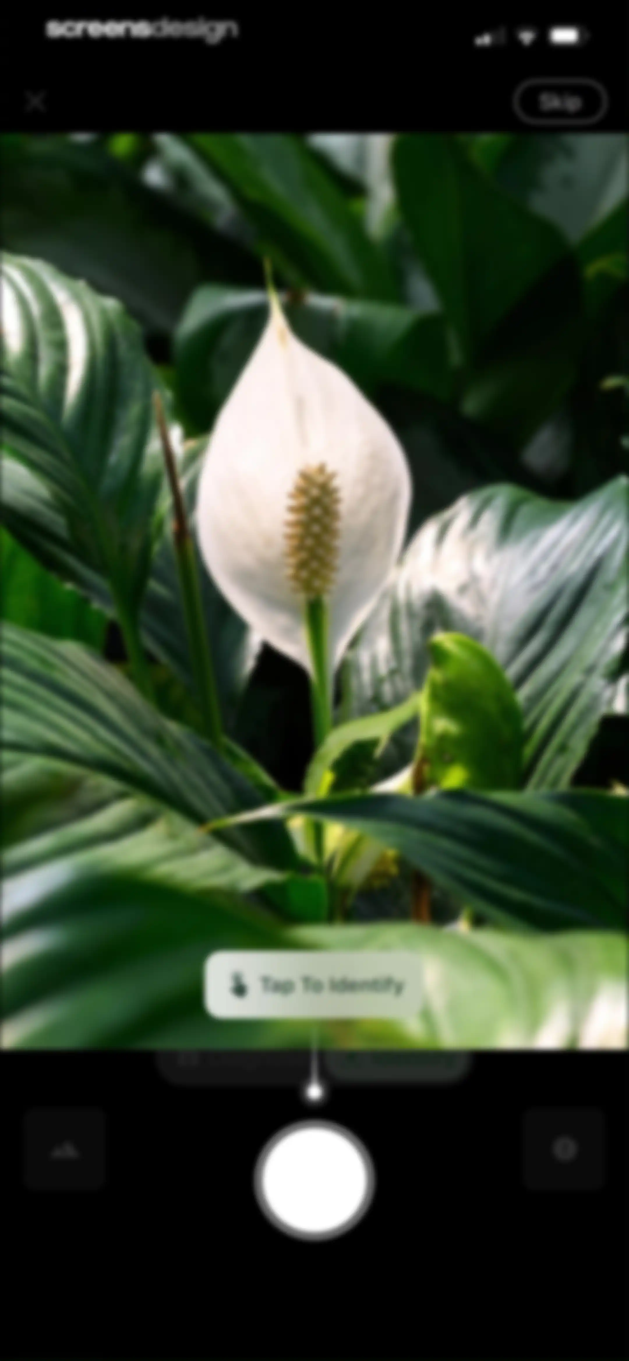 Plant Identifier & Plant Care. screen 14