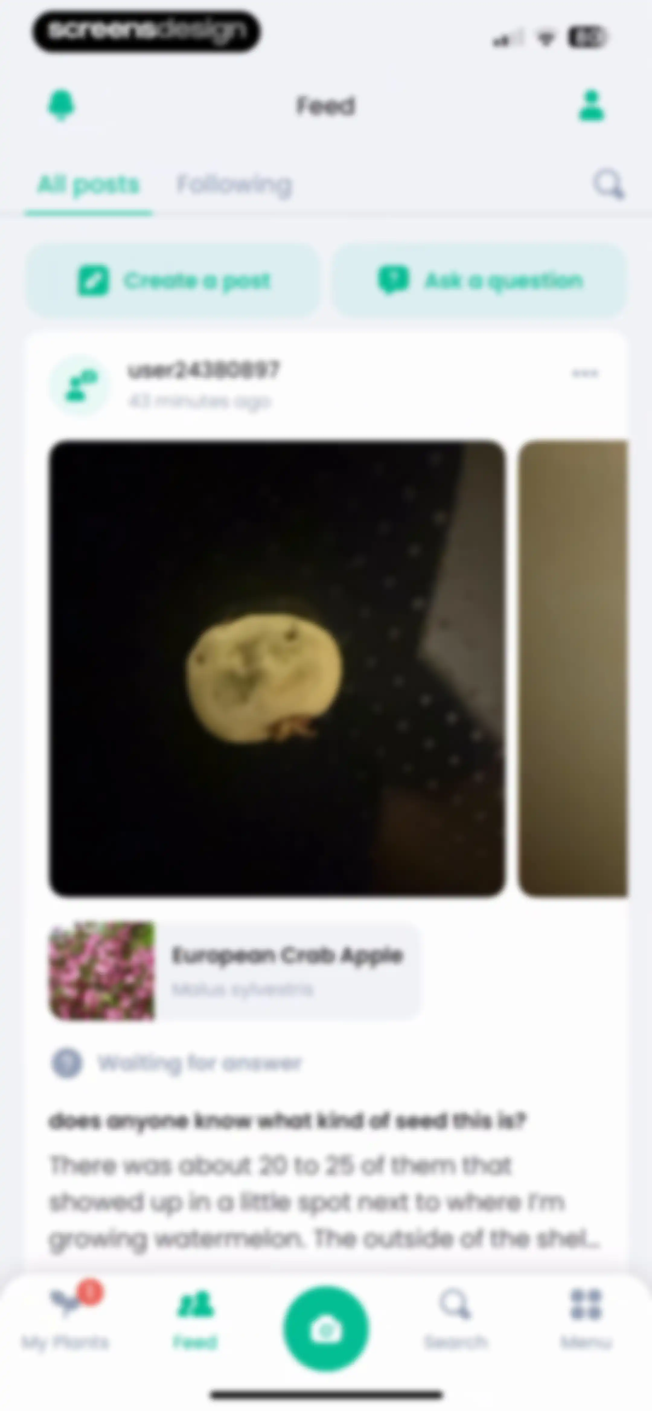 PlantIn: Plant Identifier・Care screen 134