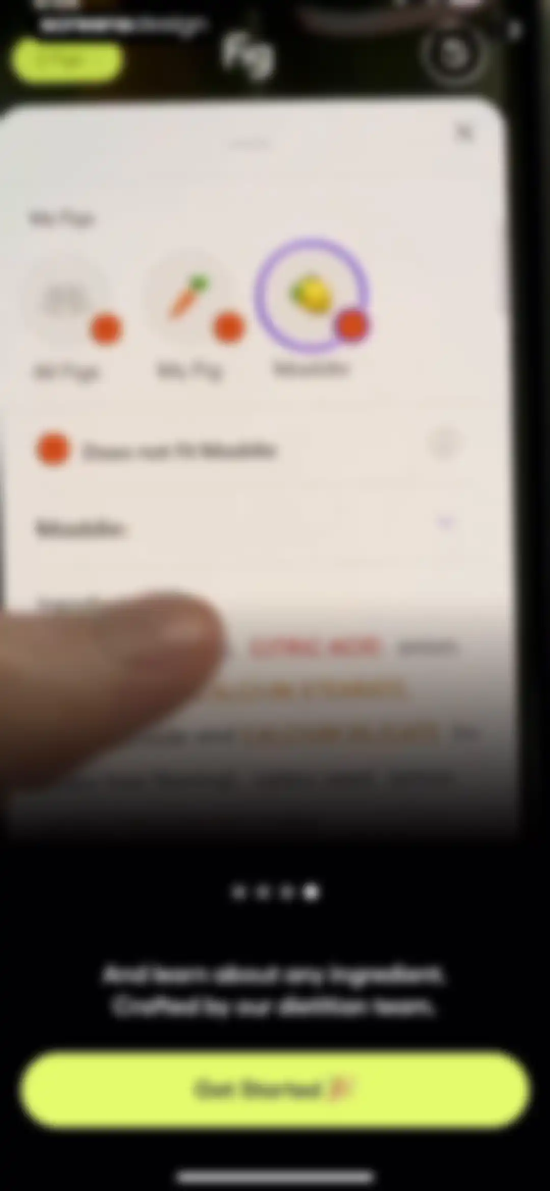 Fig: Food Scanner & Guide screen 6