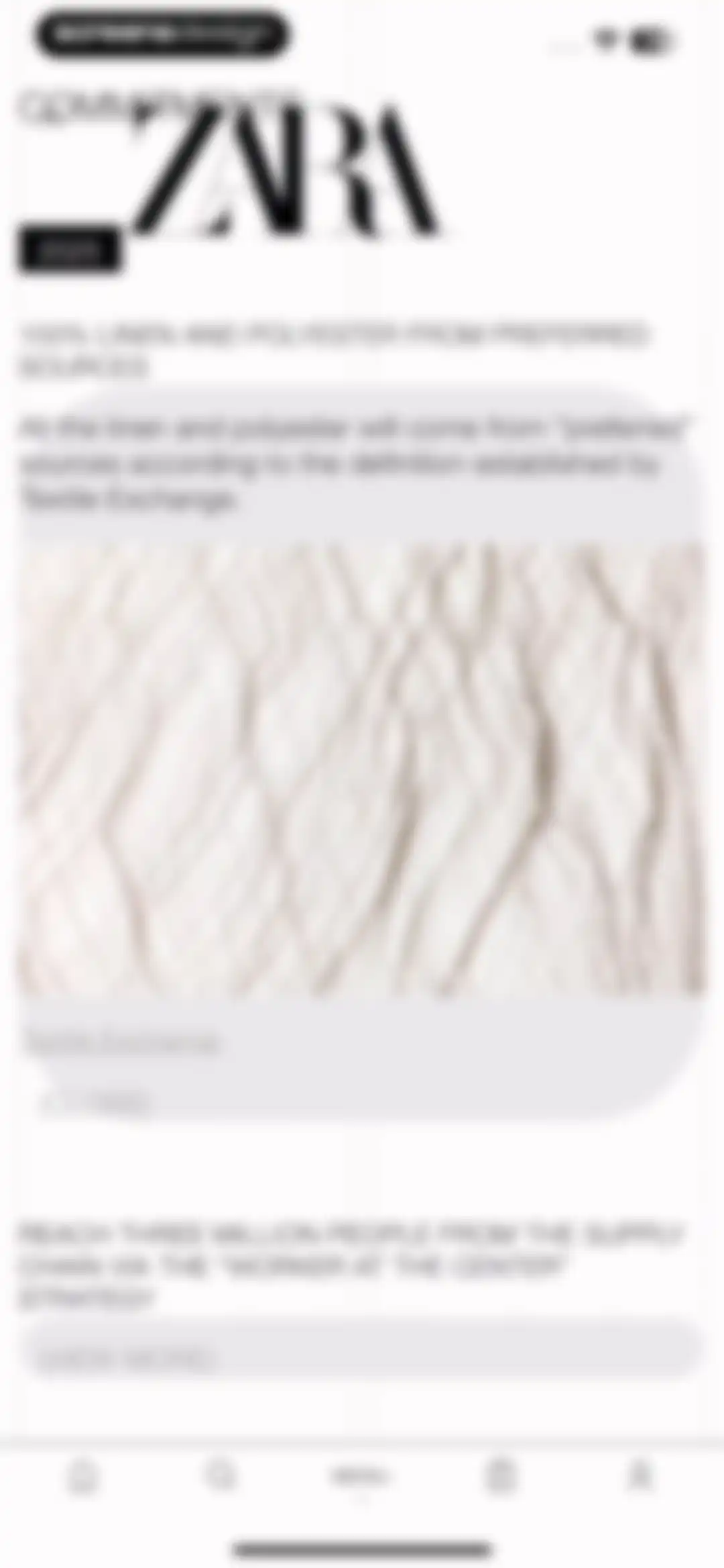 ZARA screen 77