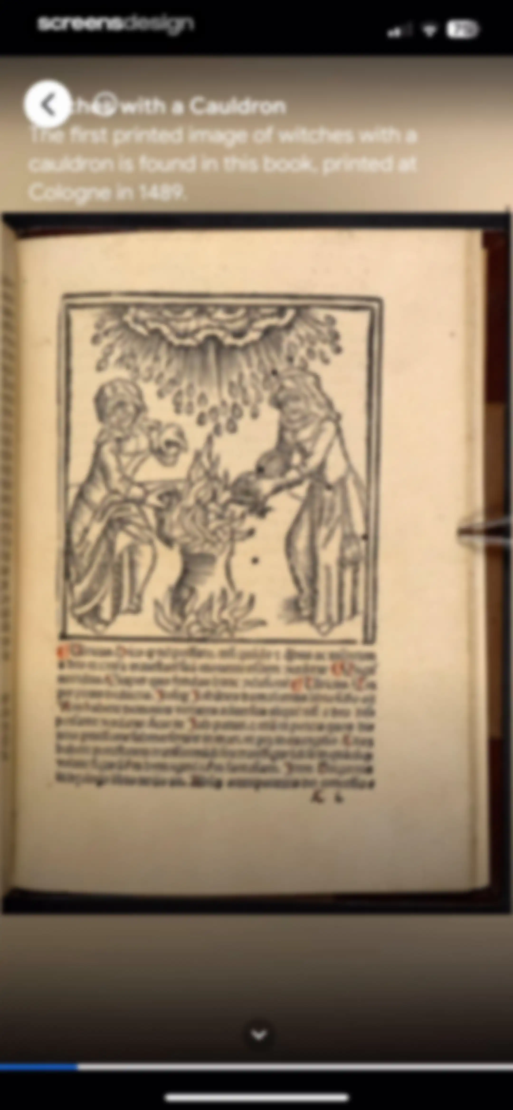 Google Arts & Culture screen 52