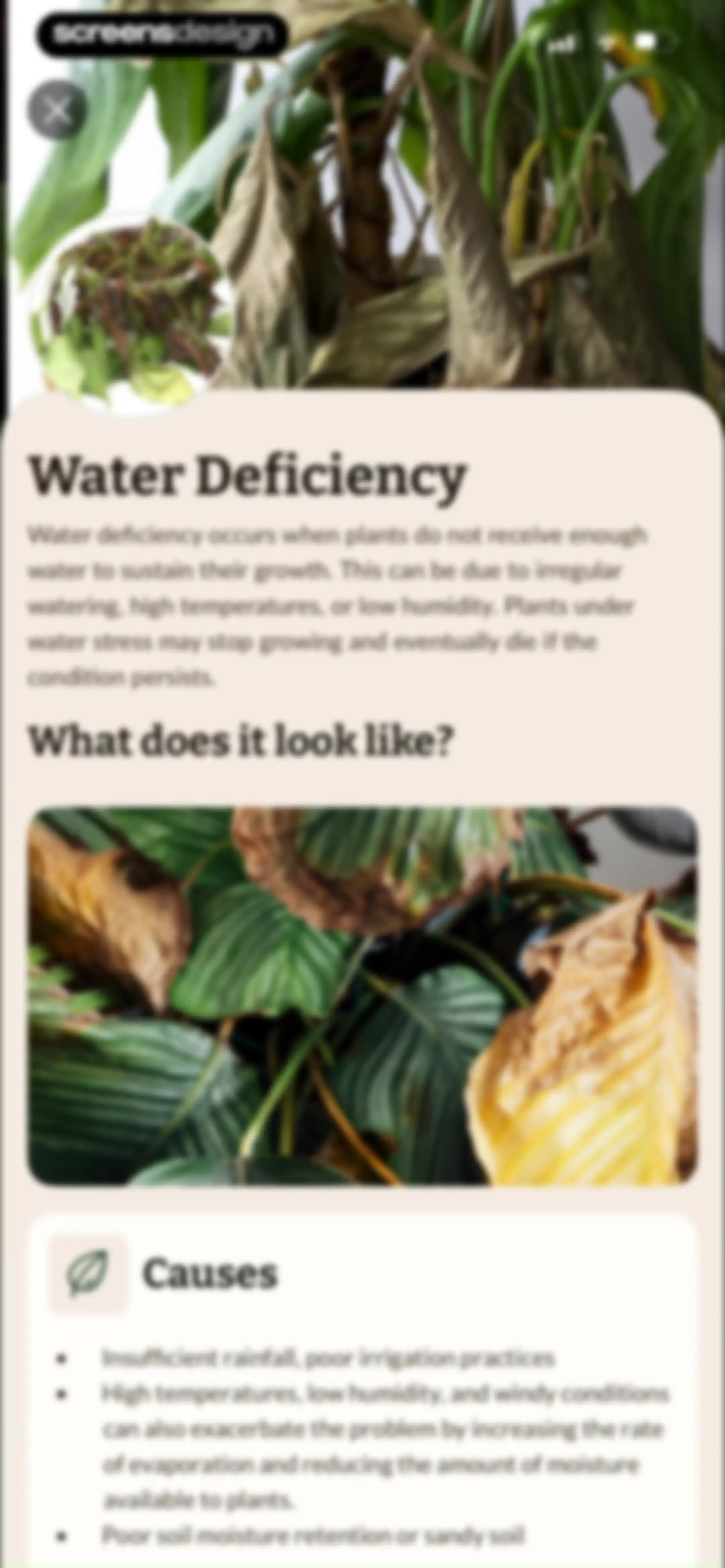 Plant Identification－Plantaria screen 76
