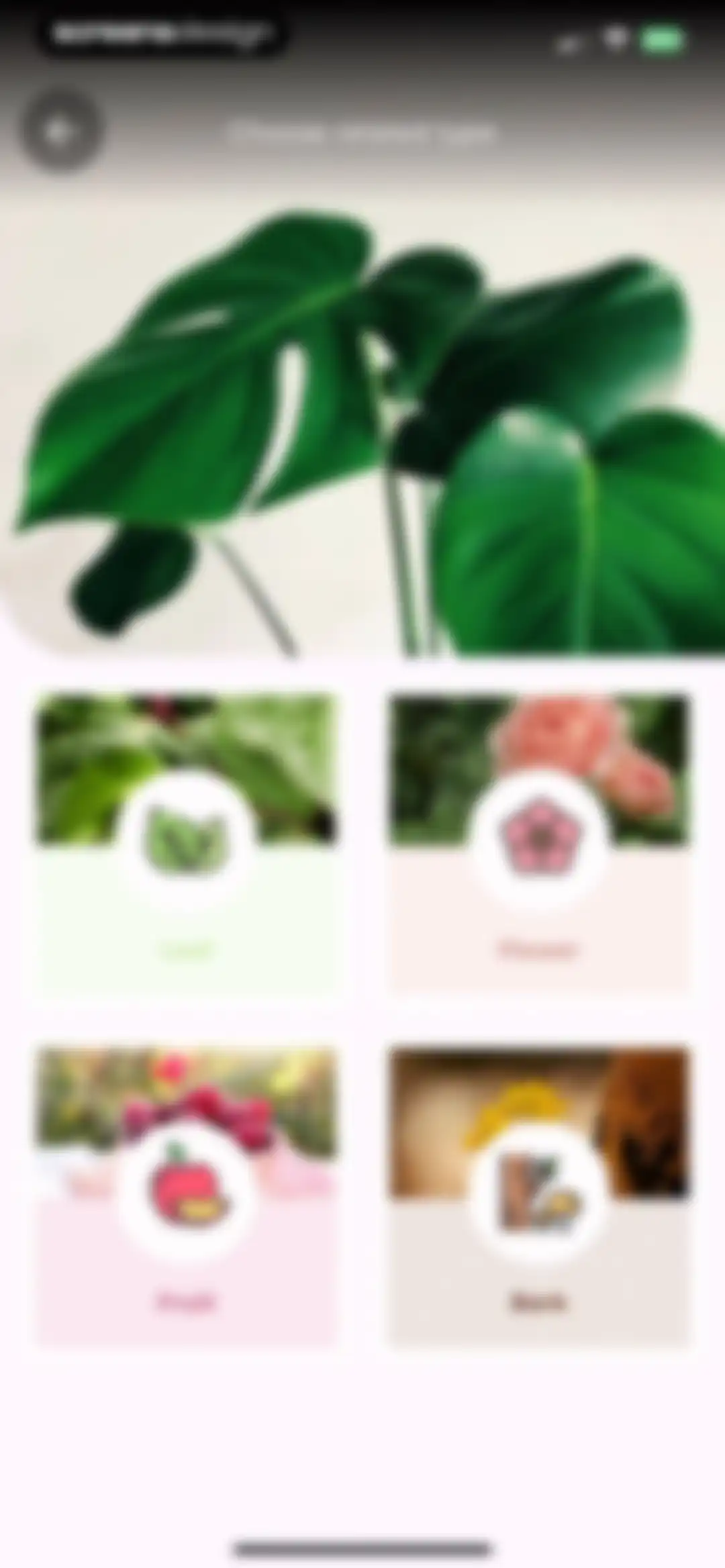 Plant Identifier: LeafSnap screen 10