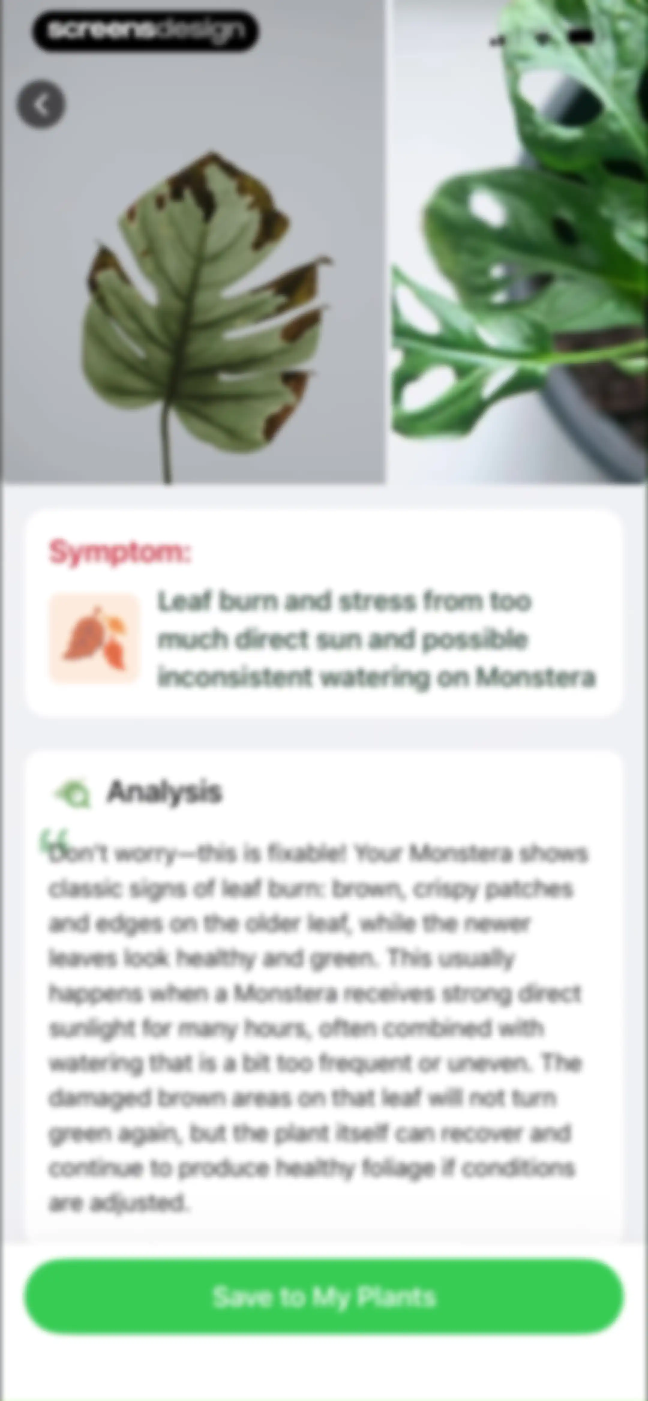 Plant Identifier & Plant Care. screen 102