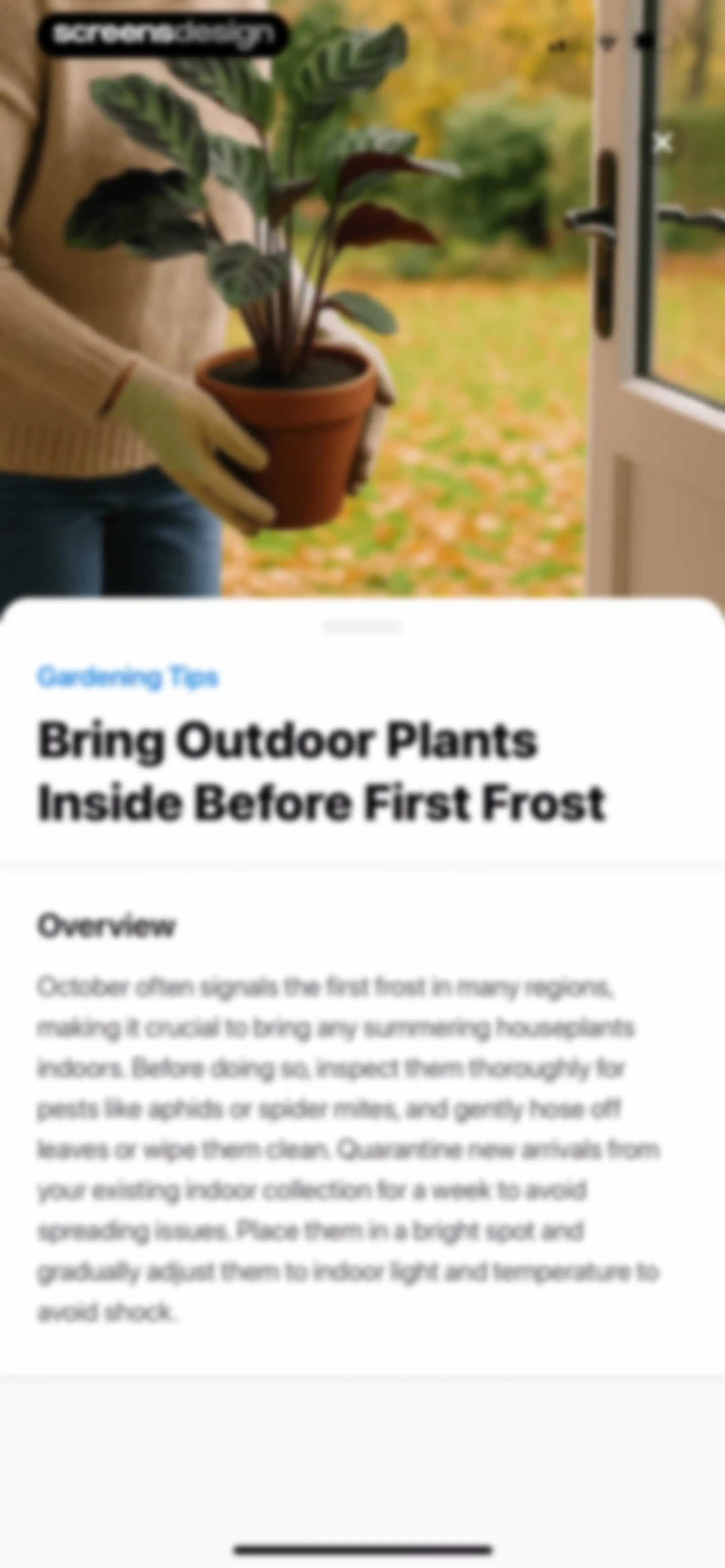 Plant App: Plant Identifier screen 115