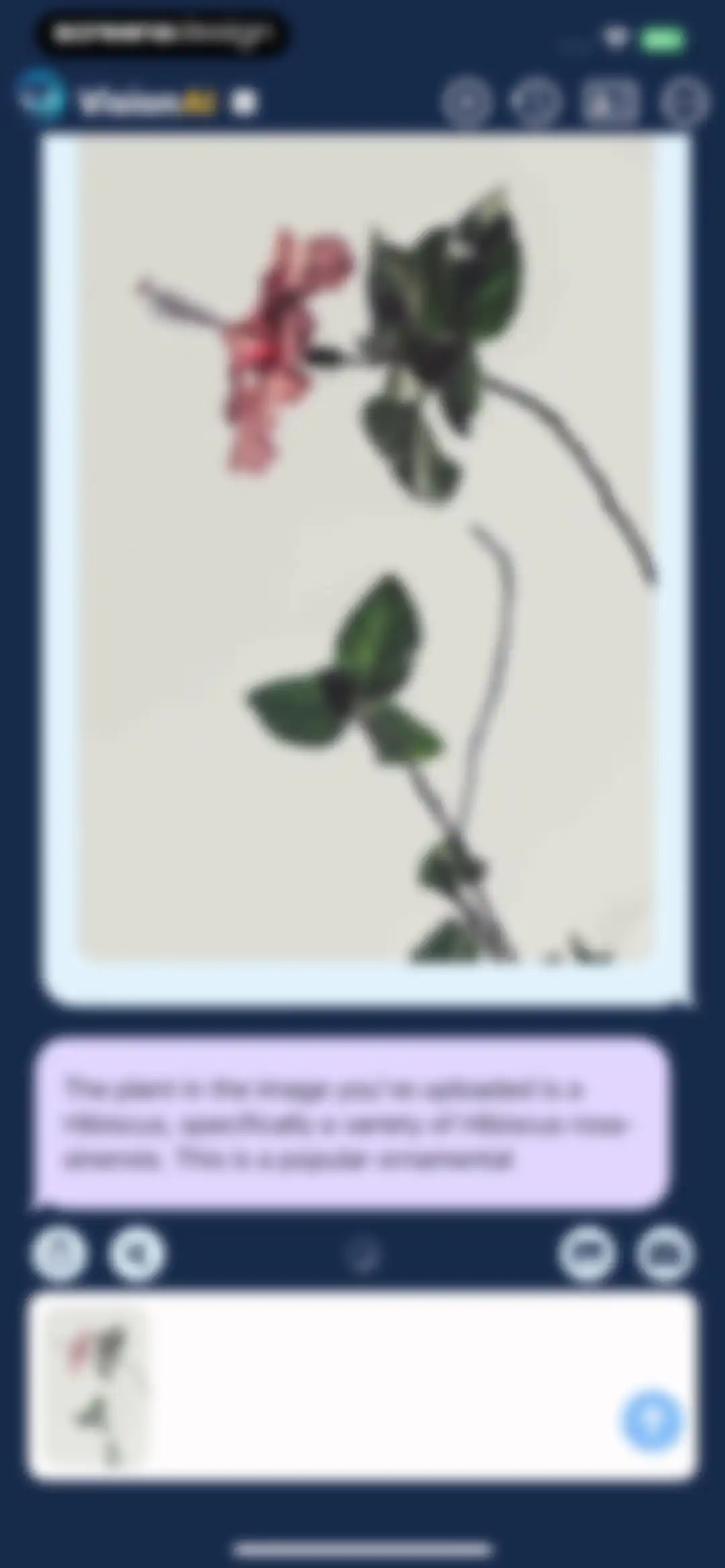AI Assistant: Images & Writing screen 51