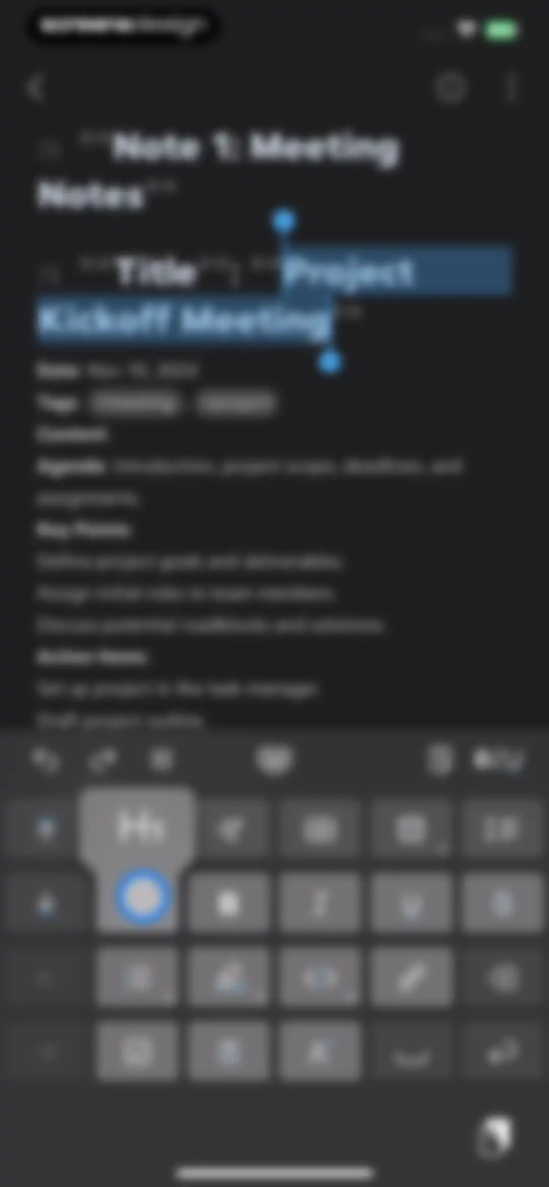 Bear - Markdown Notes screen 10