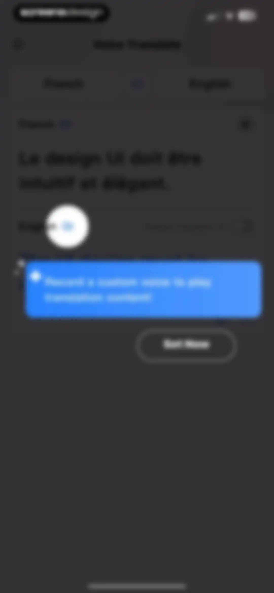 Voice Translate & Translator screen 14
