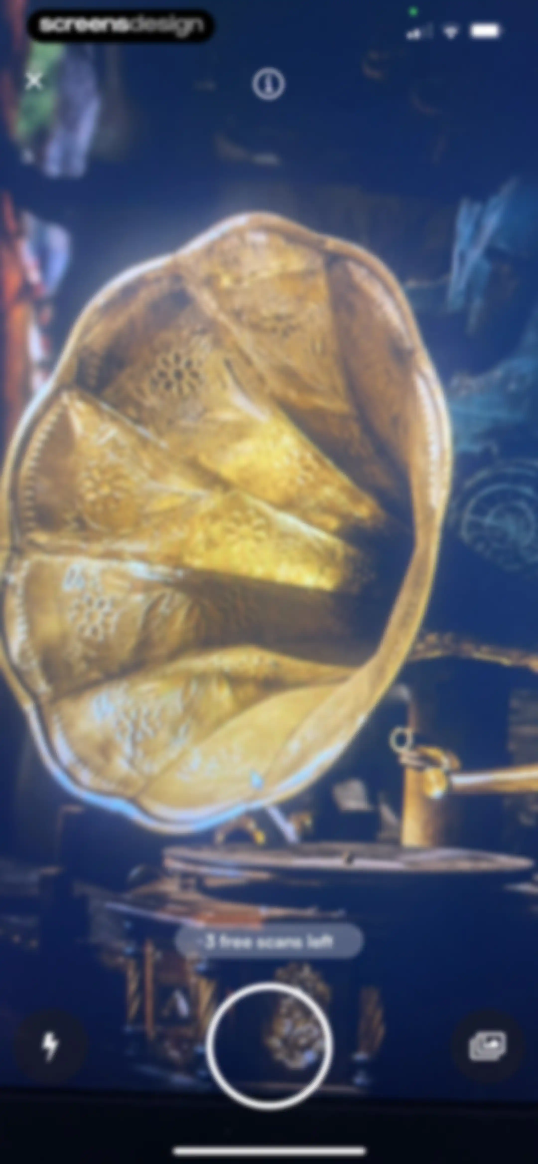 Curio - Antique Identifier screen 14