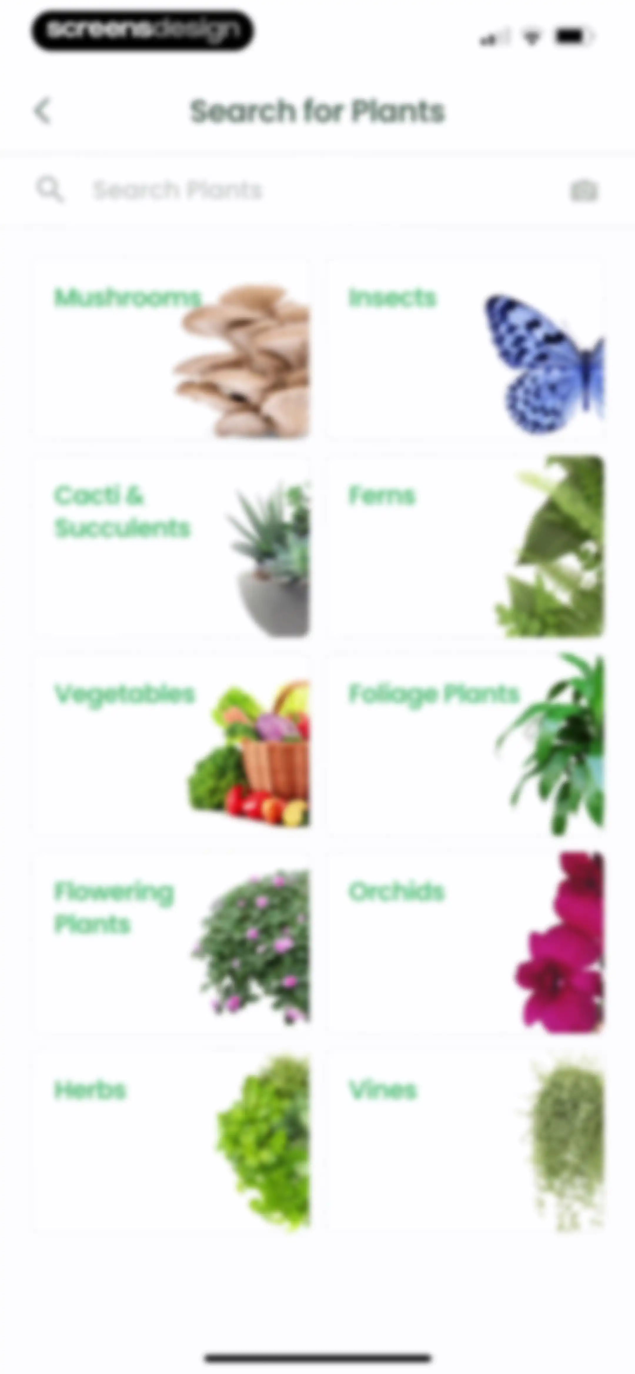 Plant Identifier: Plantiary screen 126