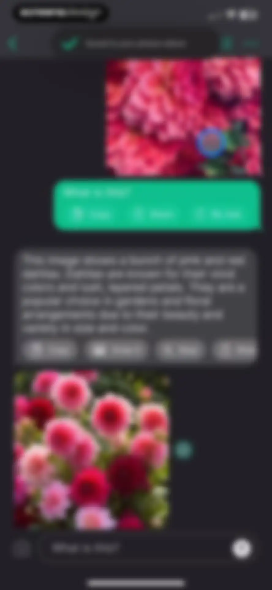 AI+ Chat & Al Video Generator screen 17
