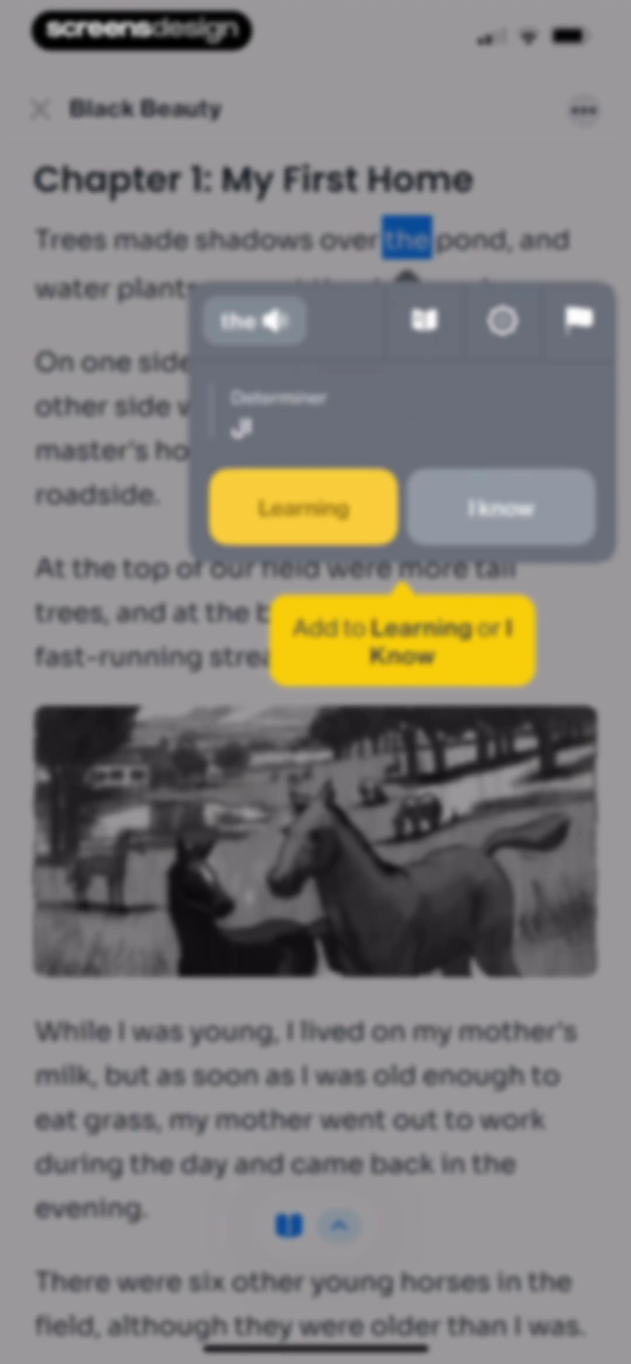 Learn English Easily - iStoria screen 37