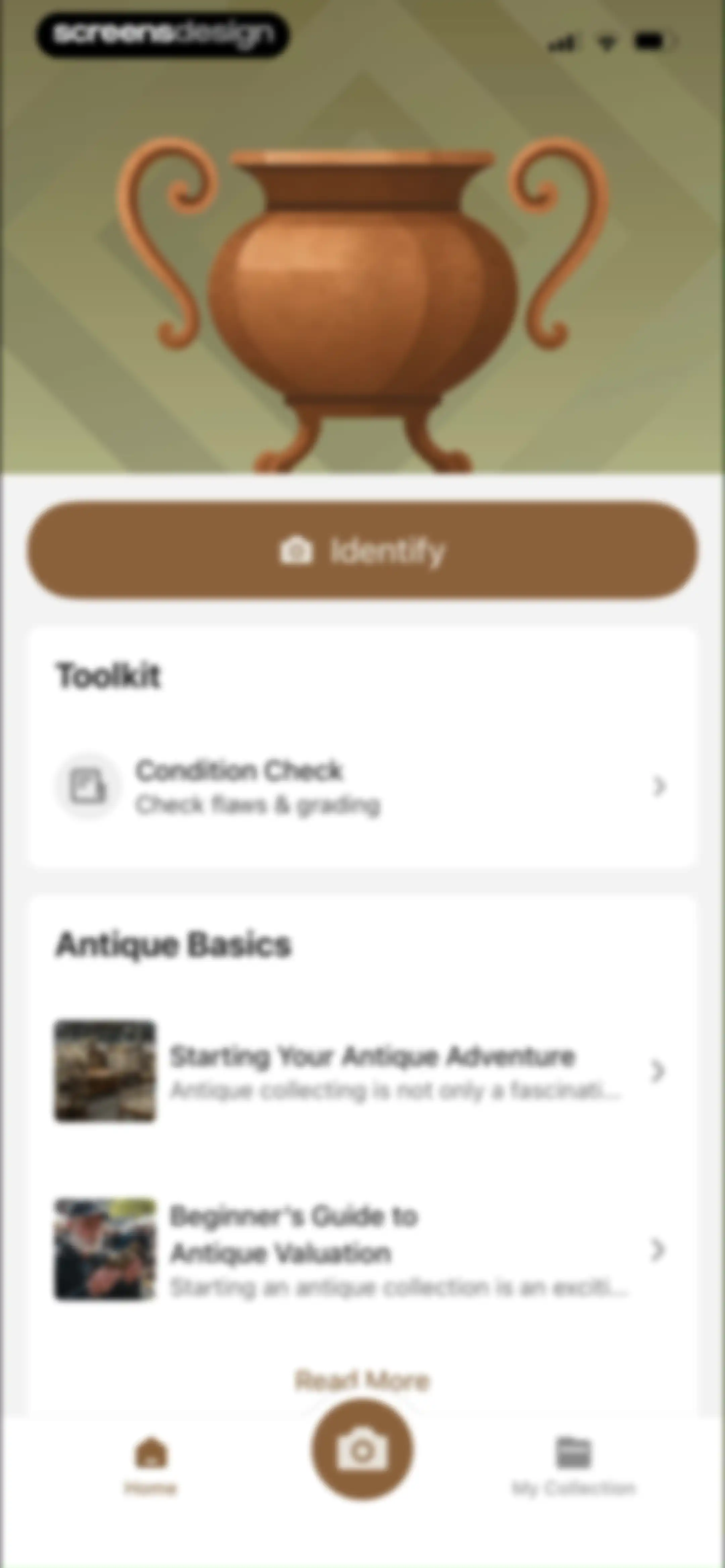 AntiqSnap: Antique Identifier screen 38