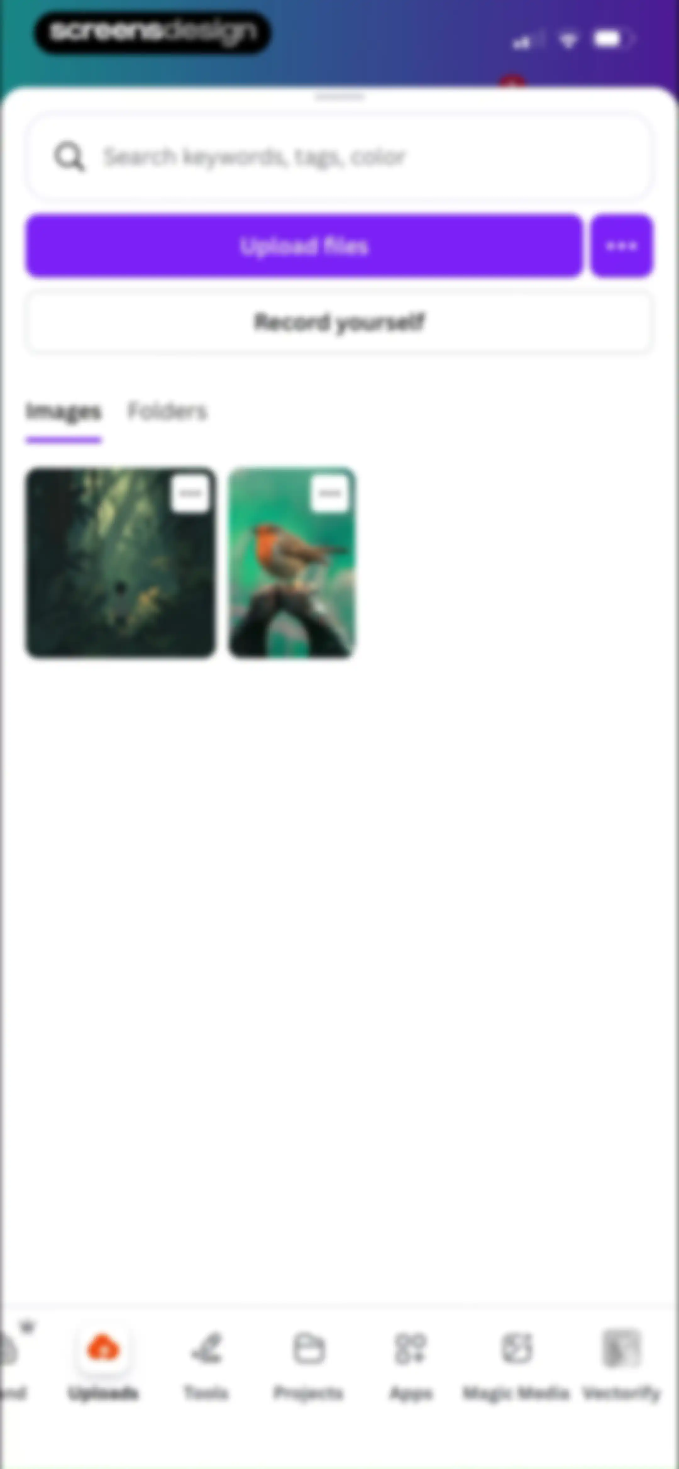 Canva: AI Video & Photo Editor screen 97