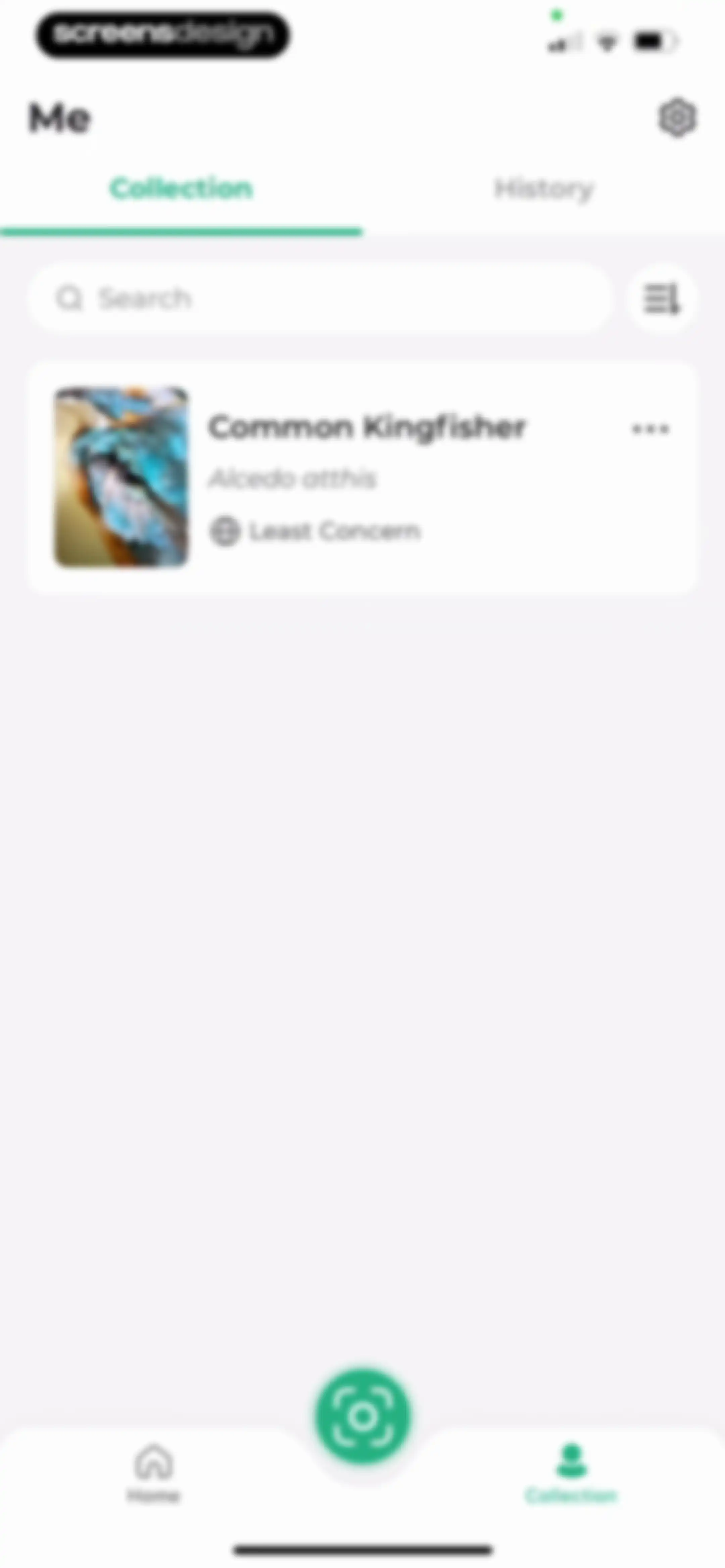 Bird Identifier: BirdScope screen 36