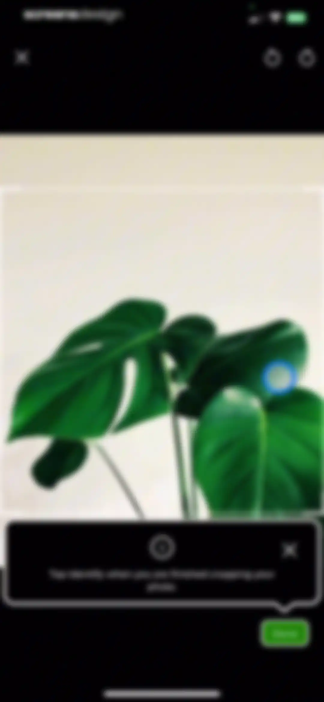 PlantSnap - Plant Scanner screen 39