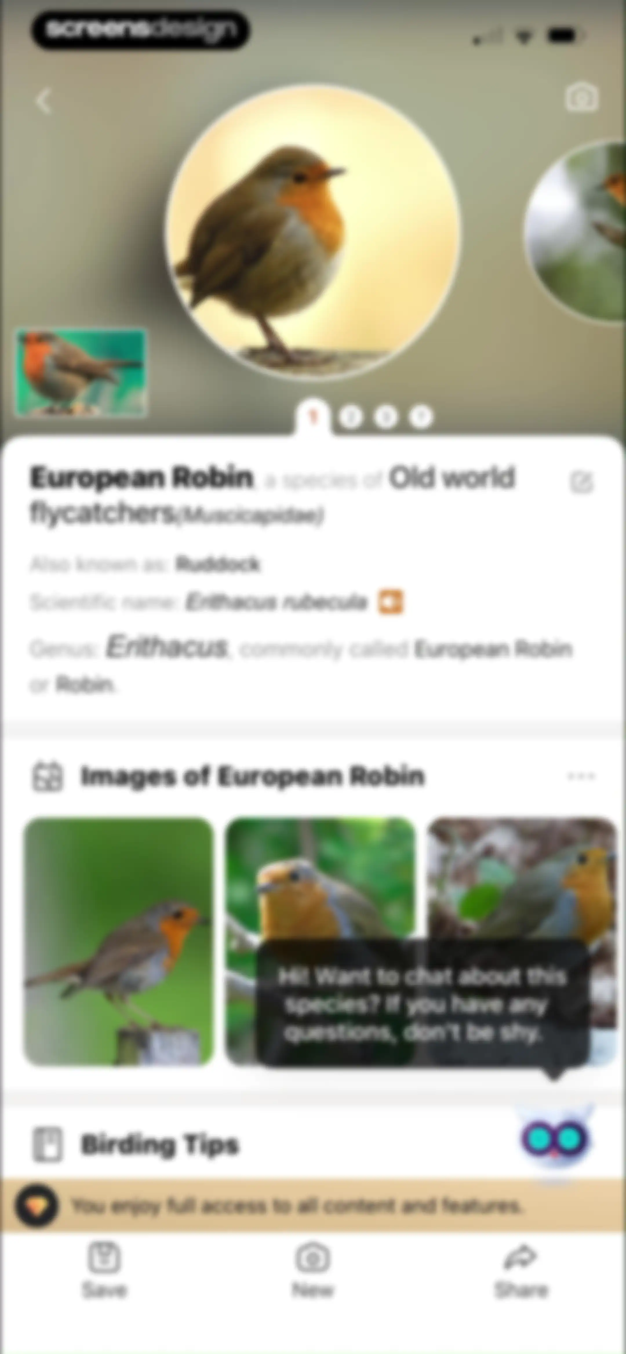 Picture Bird: Bird identifier screen 52