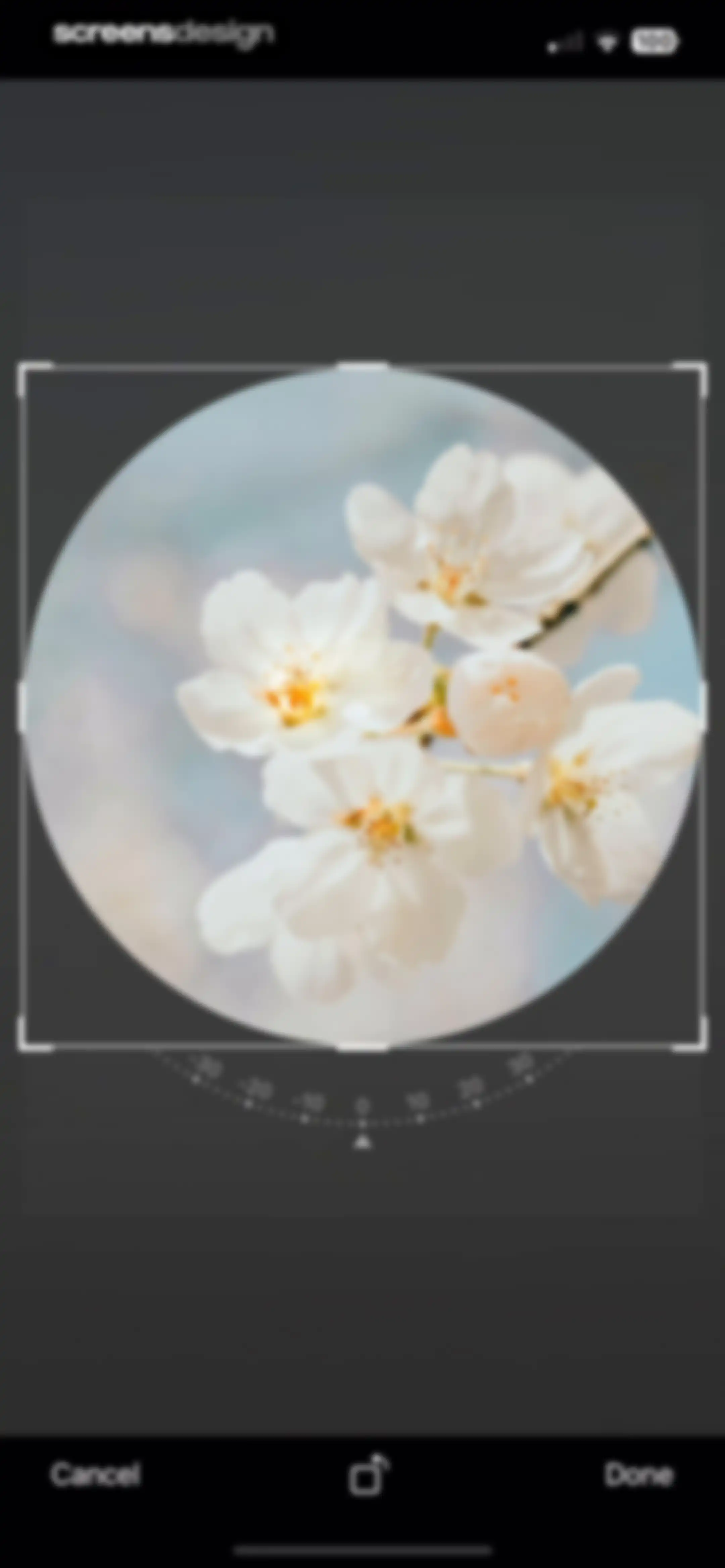 Calorie Counter - MyNetDiary screen 242