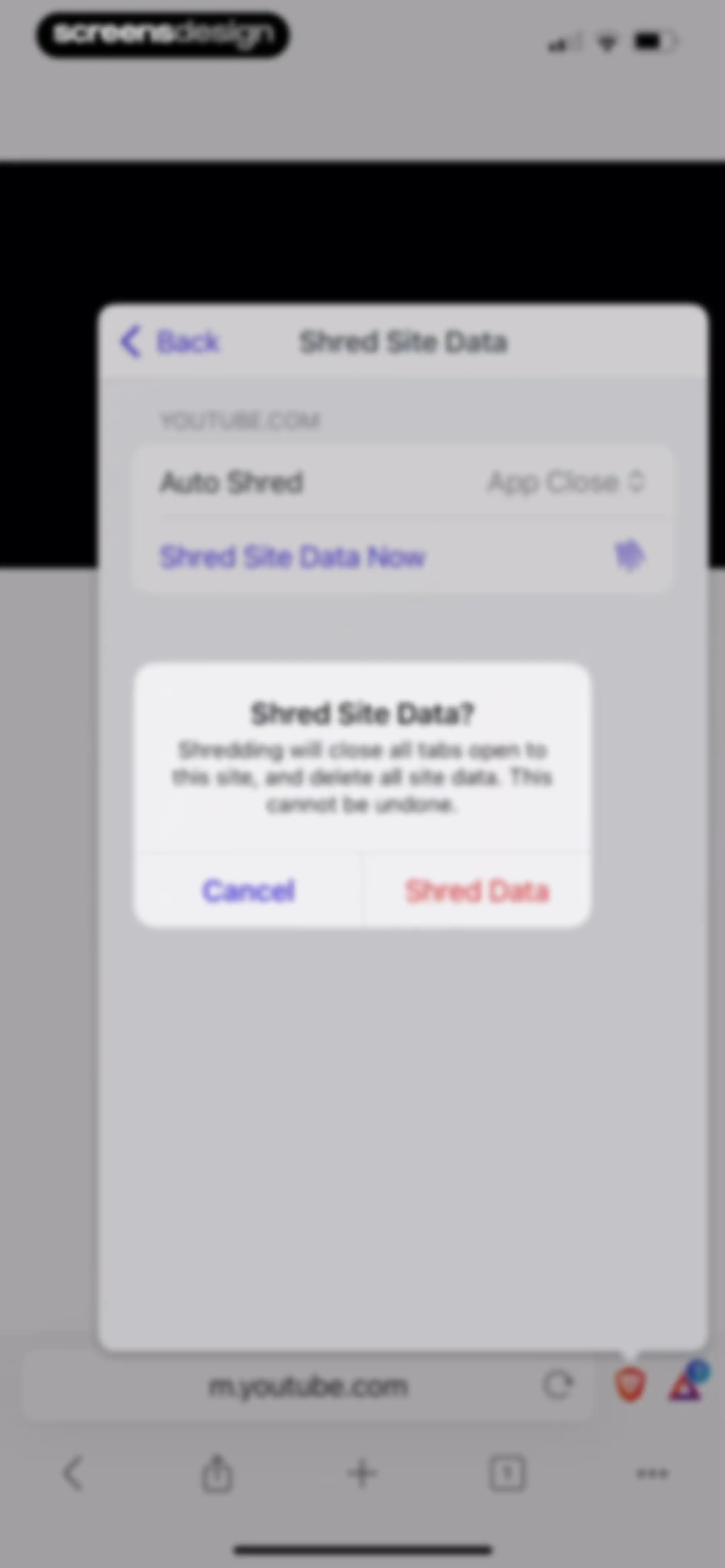 Brave Browser & Search Engine screen 30