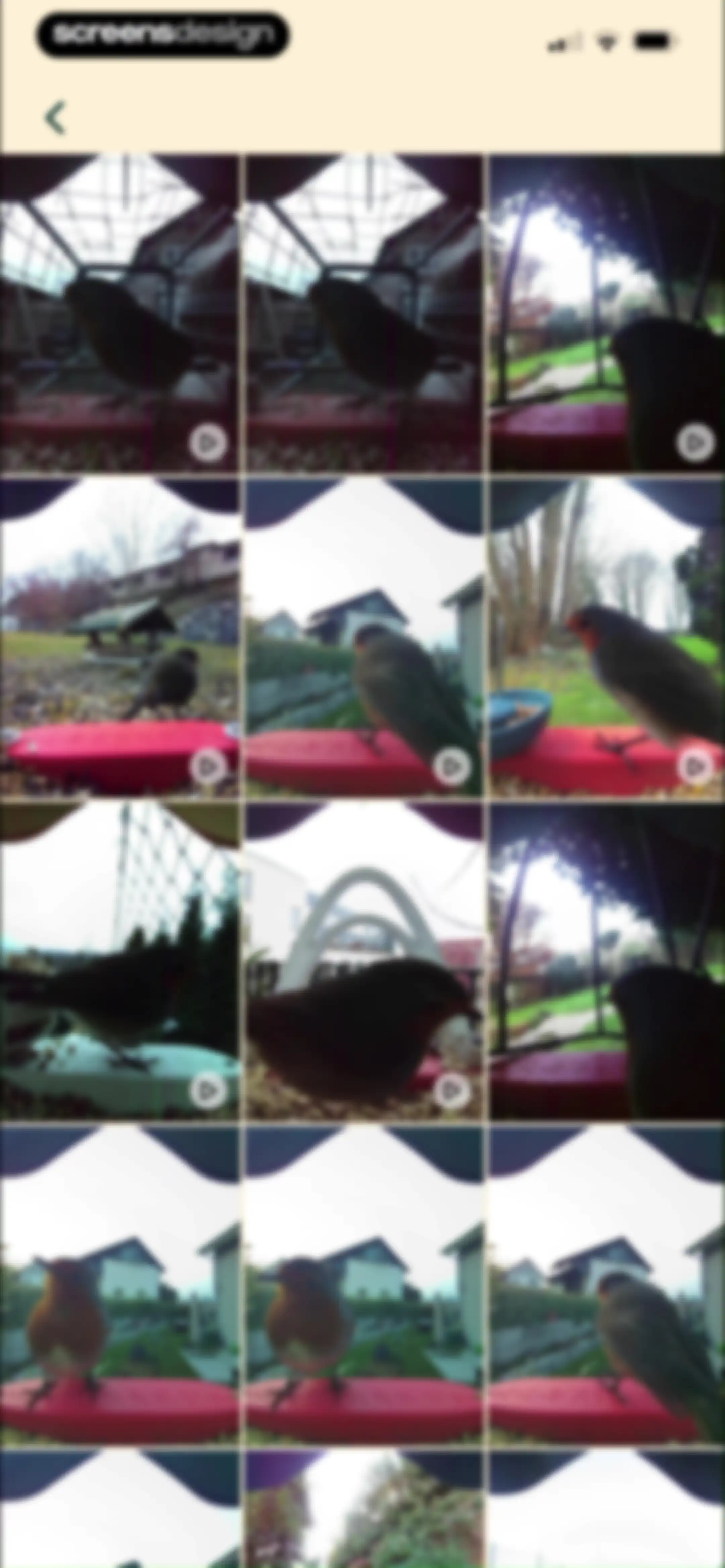 Birdbuddy: ID & Collect Birds screen 77