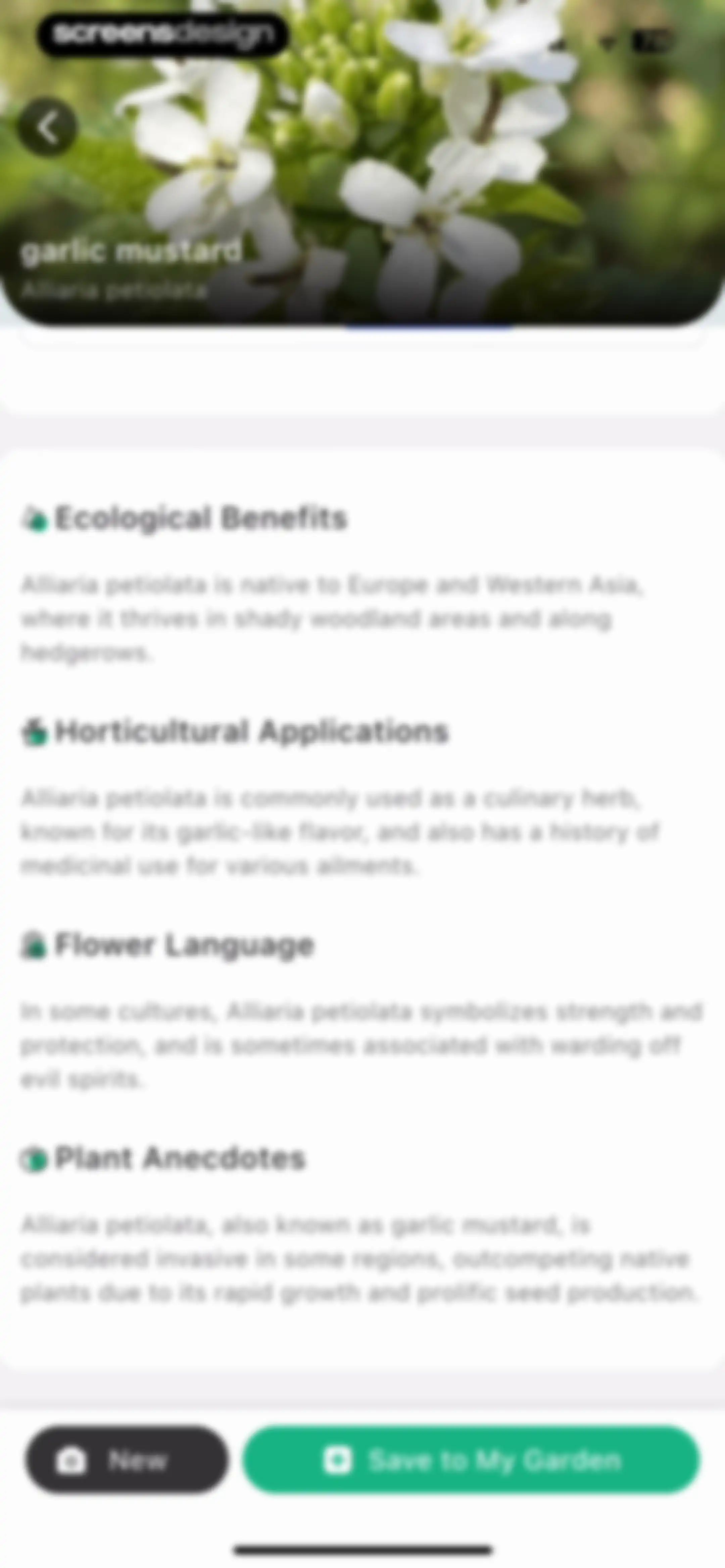 Plant Identifier: ChatPlant AI screen 35