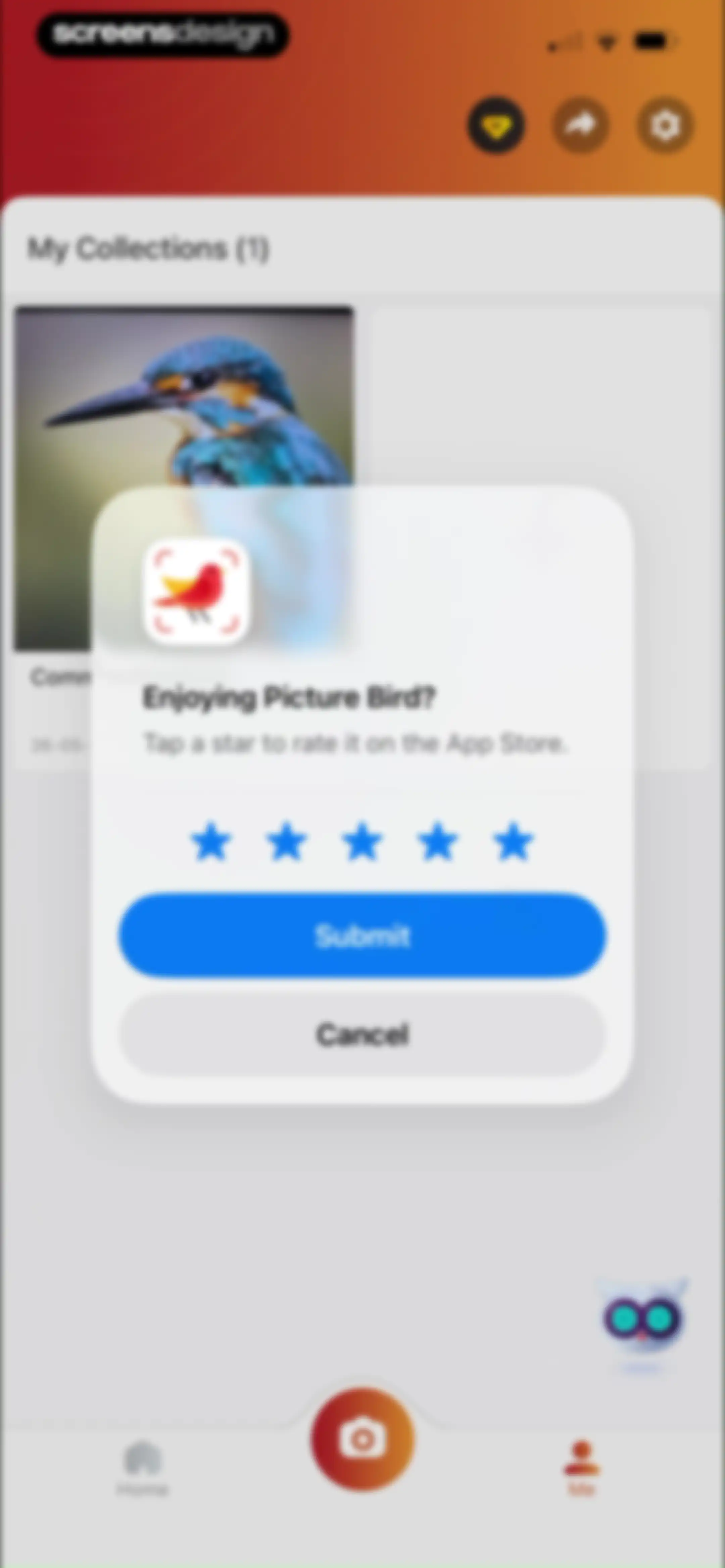 Picture Bird: Bird identifier screen 44