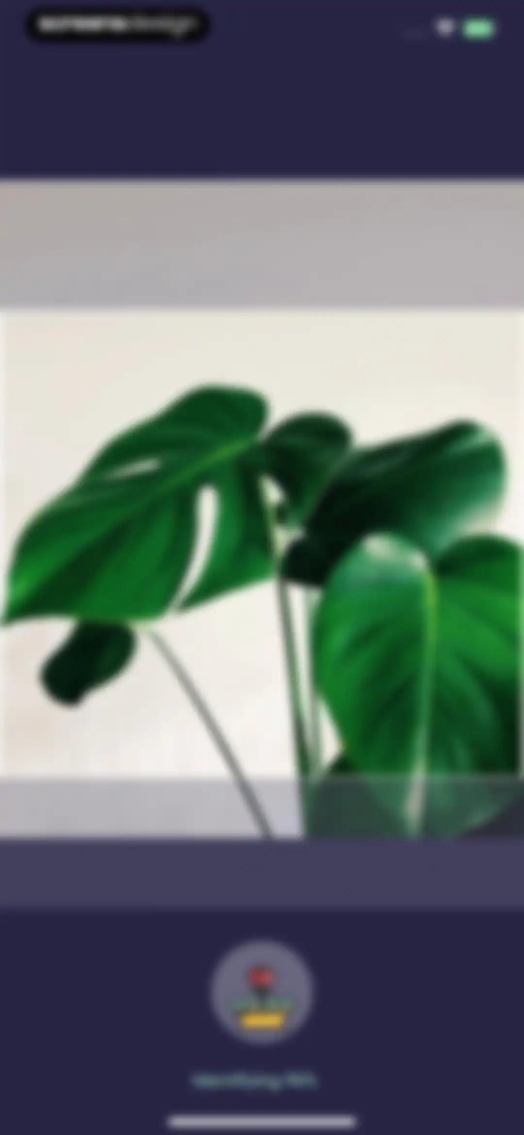 Plant Identifier, Care: Planty screen 44