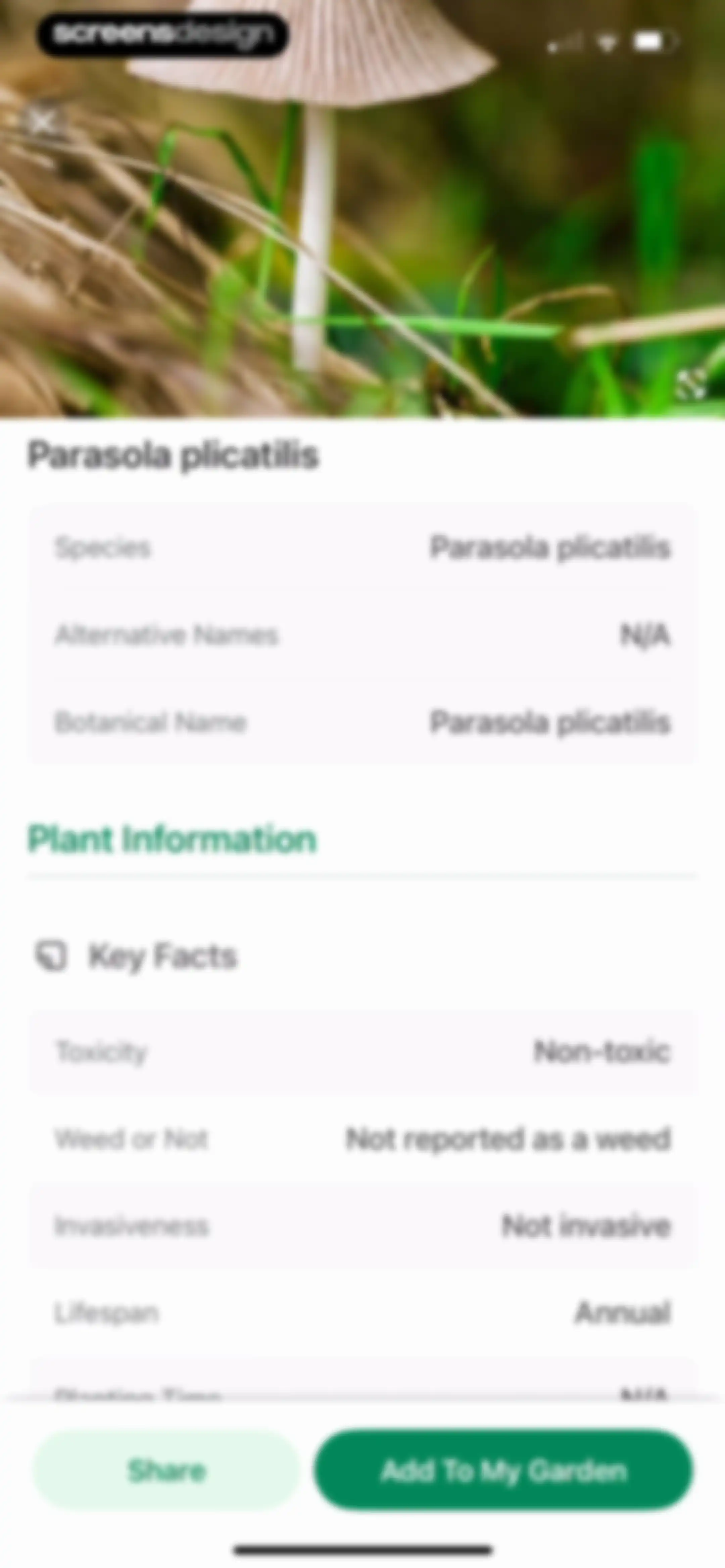 Identify My Plant Now screen 63
