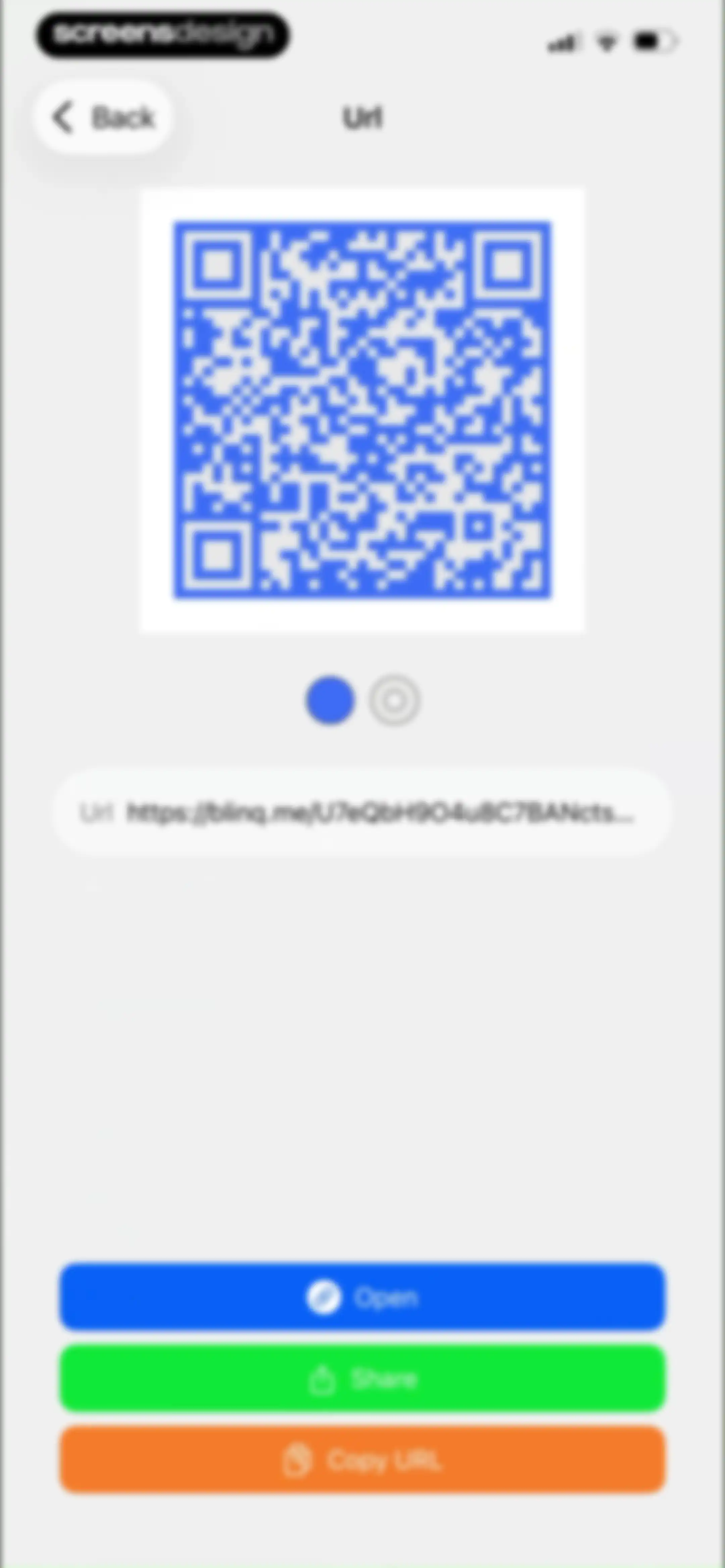 QR Code Scanner Pro * screen 13