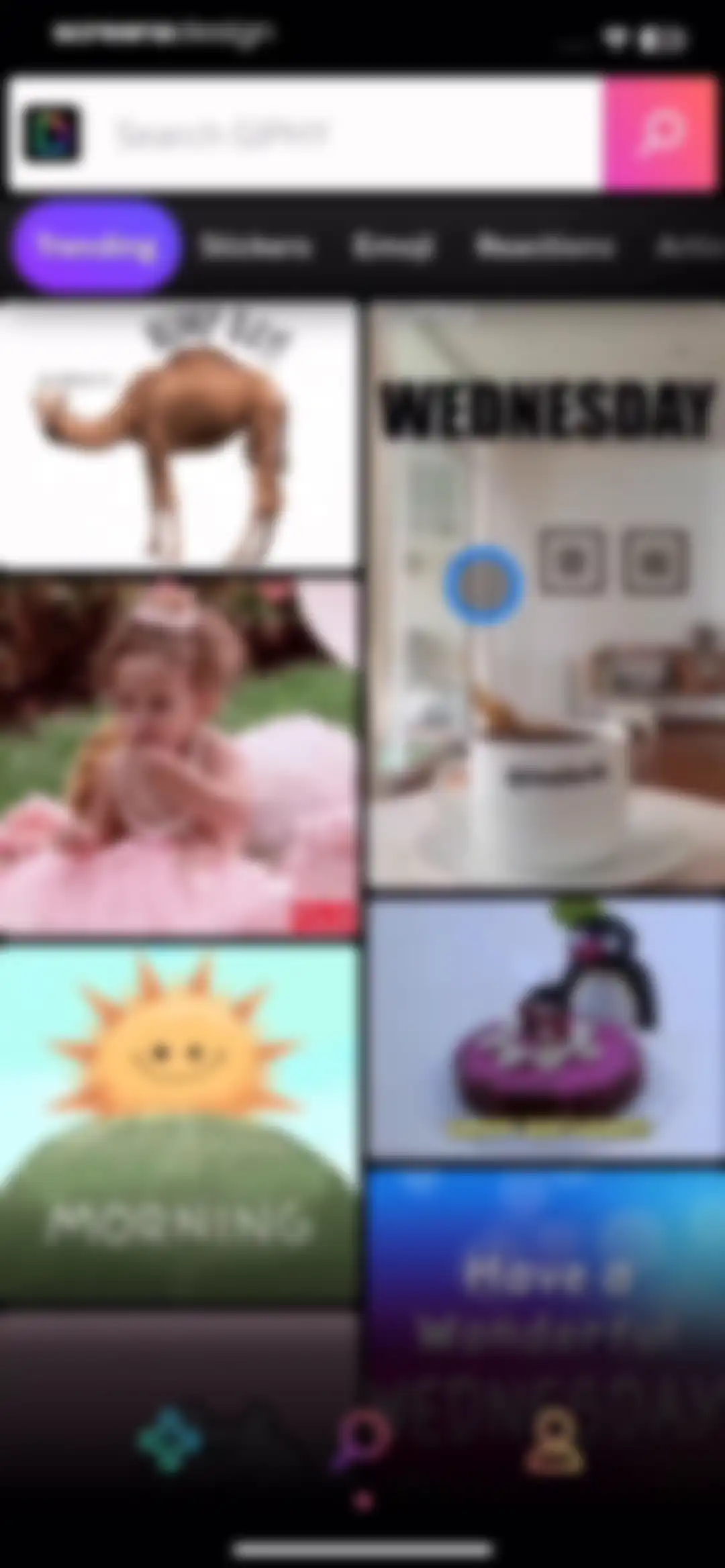GIPHY: The GIF Search Engine screen 6