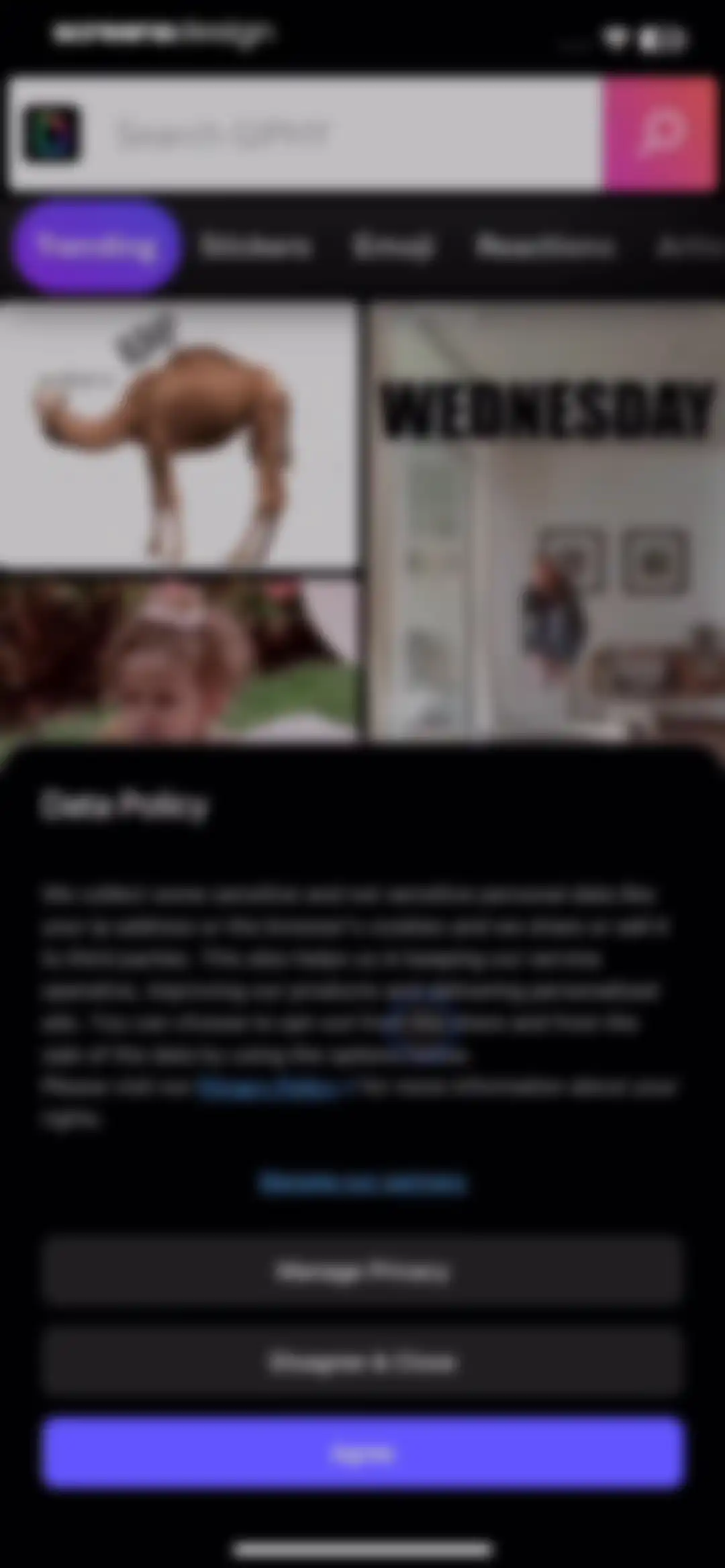 GIPHY: The GIF Search Engine screen 3