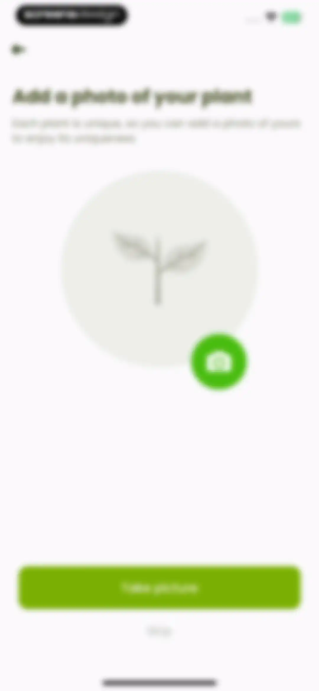 Plant Identifier & Care: Ficus screen 58