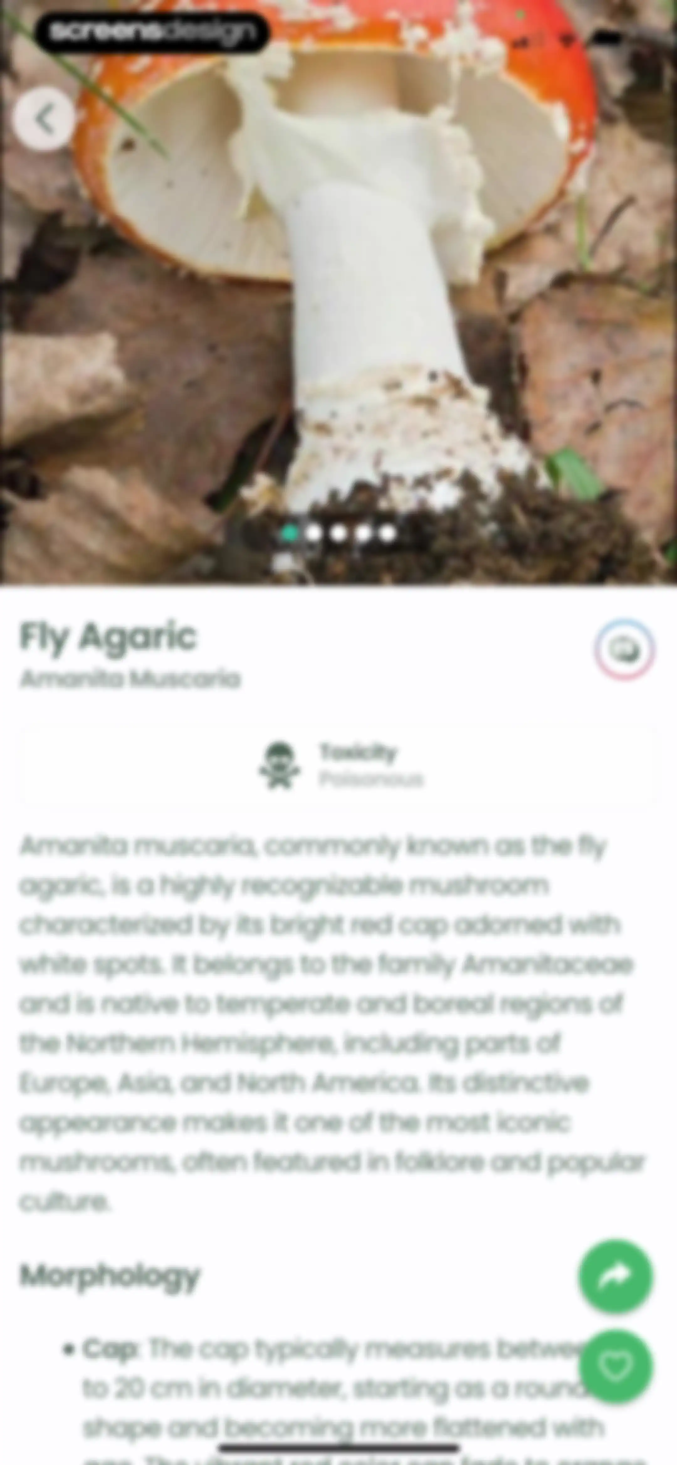 Plant Identifier: Plantiary screen 99
