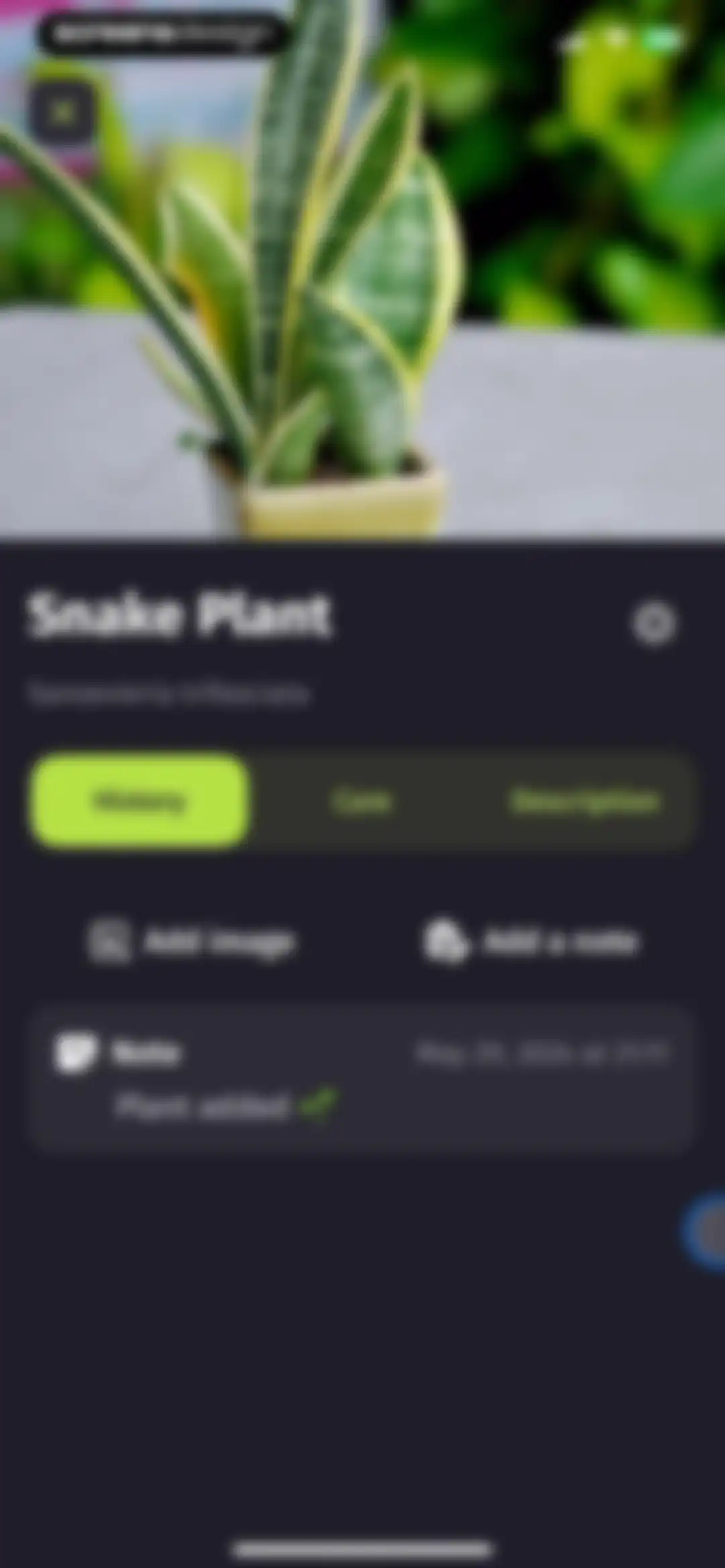 Plantion - Plant Identifier screen 15