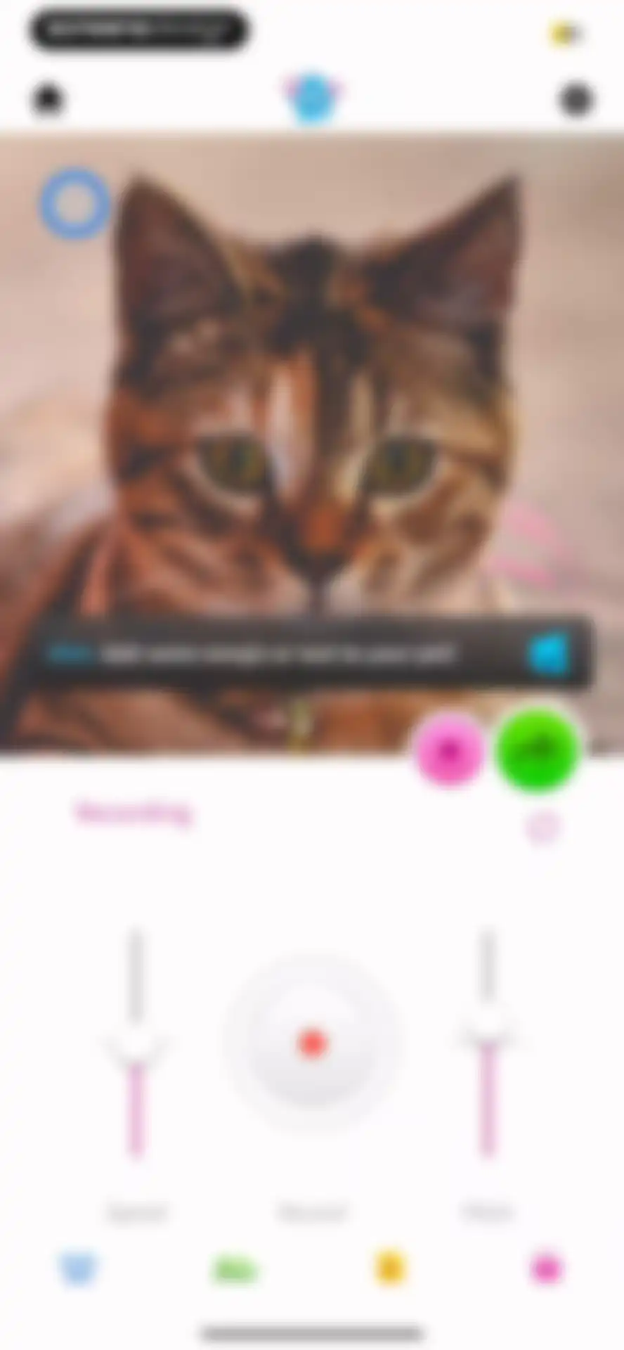 My Talking Pet screen 34